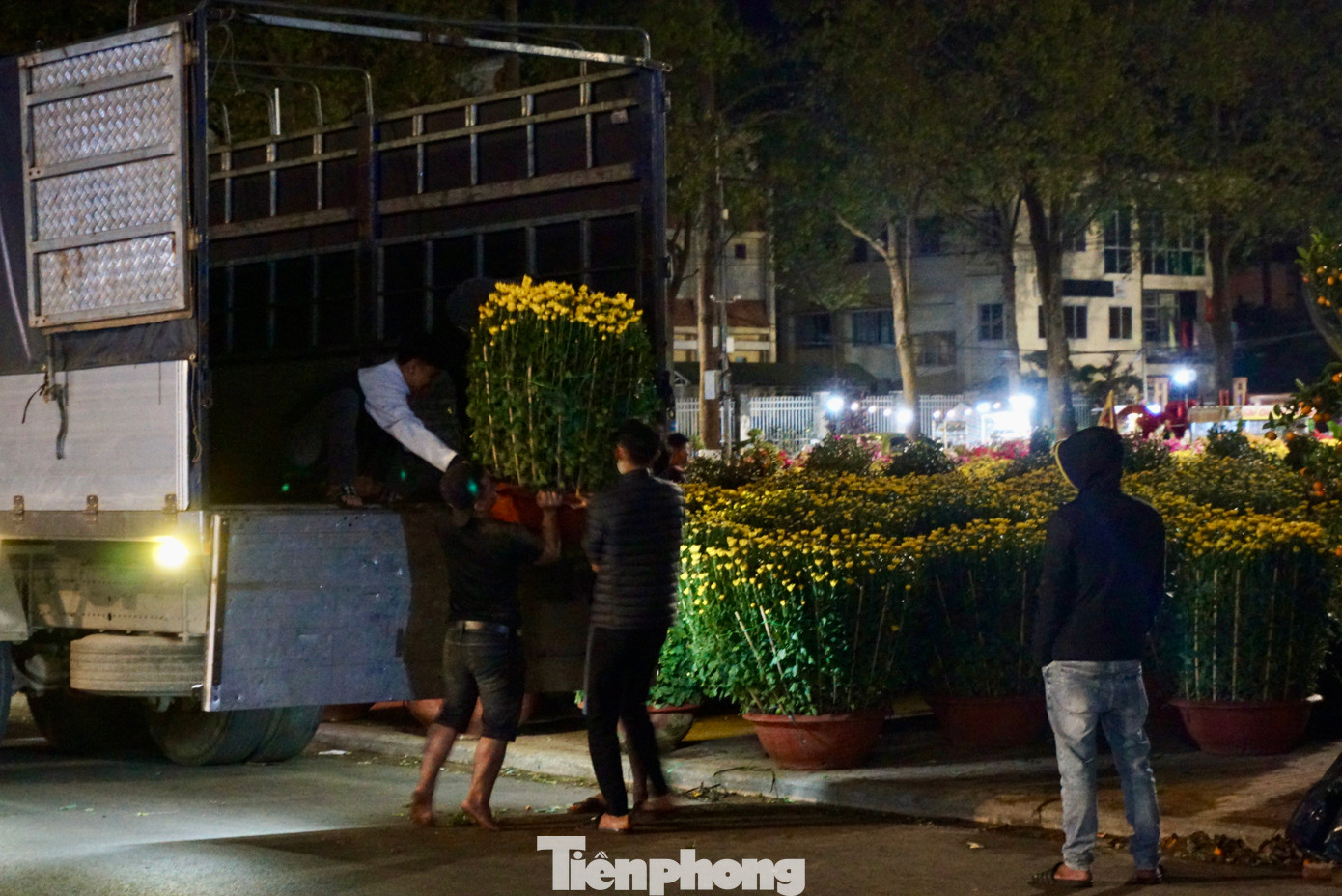 Khoảng 3 giờ ngày 31/1, các xe tải chở hoa từ các tỉnh lân cận như Phú Yên, Bình Định,... tấp nập chạy vào để chuyển hàng hóa.