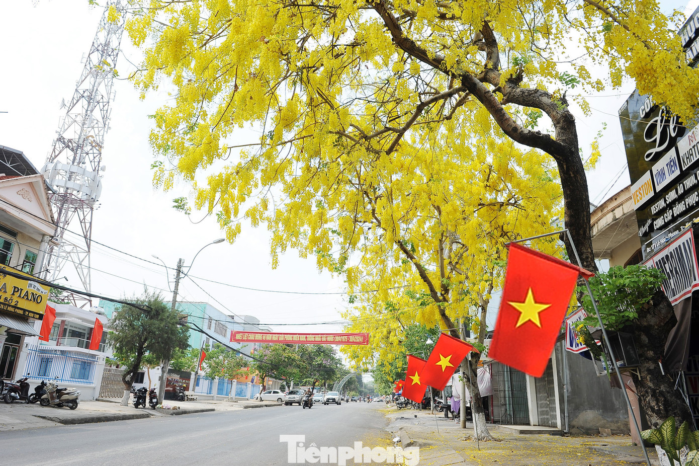Những ngày cuối tháng 4, một số tuyến phố Kon Tum lại được nhuộm vàng bởi mùa hoa đua nở.