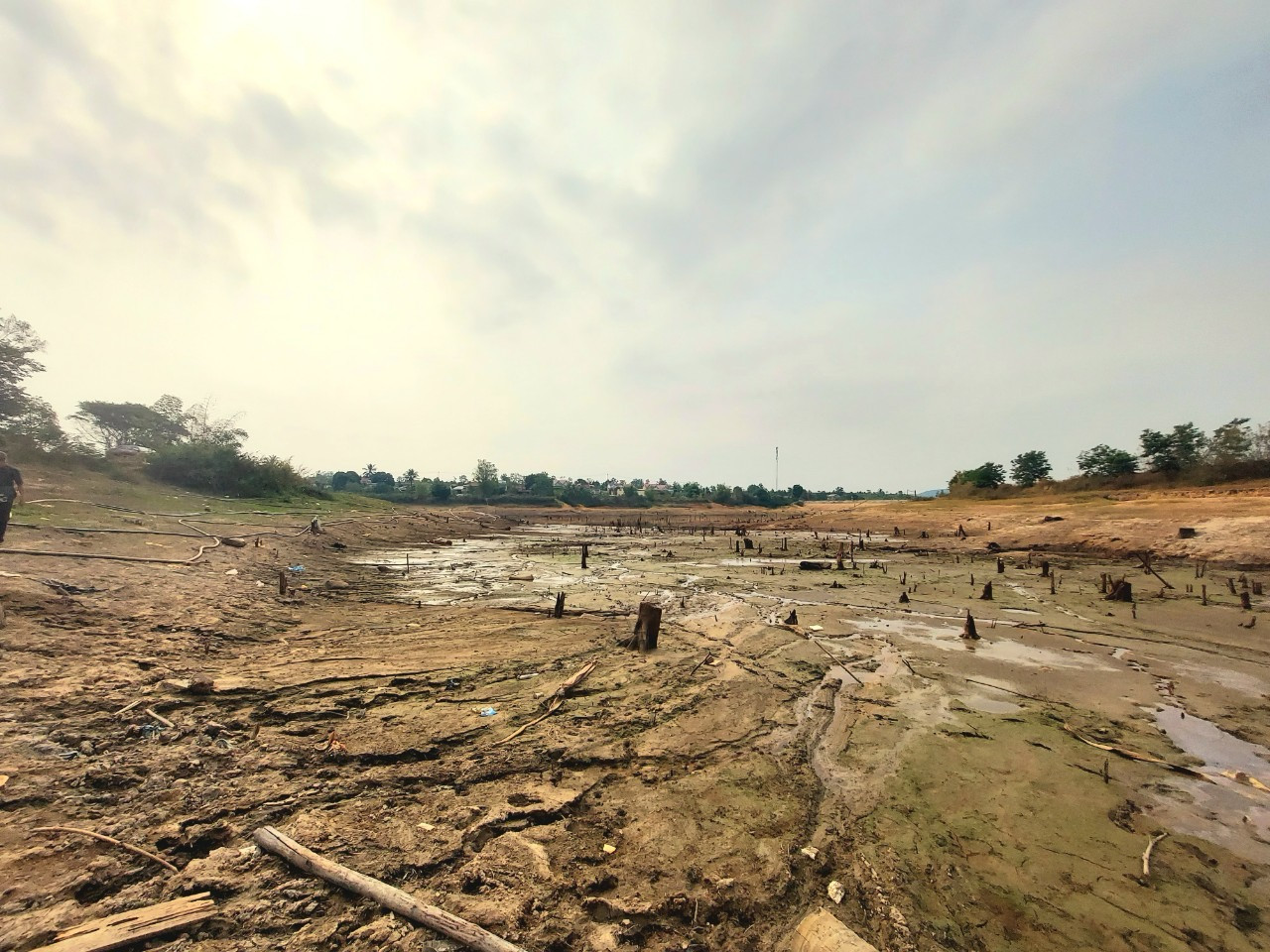 Theo người dân tại thôn Bình Minh, có nước tưới cây là tốt, tuy nhiên, việc bơm nước từ lòng hồ bị nhiễm bùn cũng trực tiếp ảnh hưởng đến cây trồng.