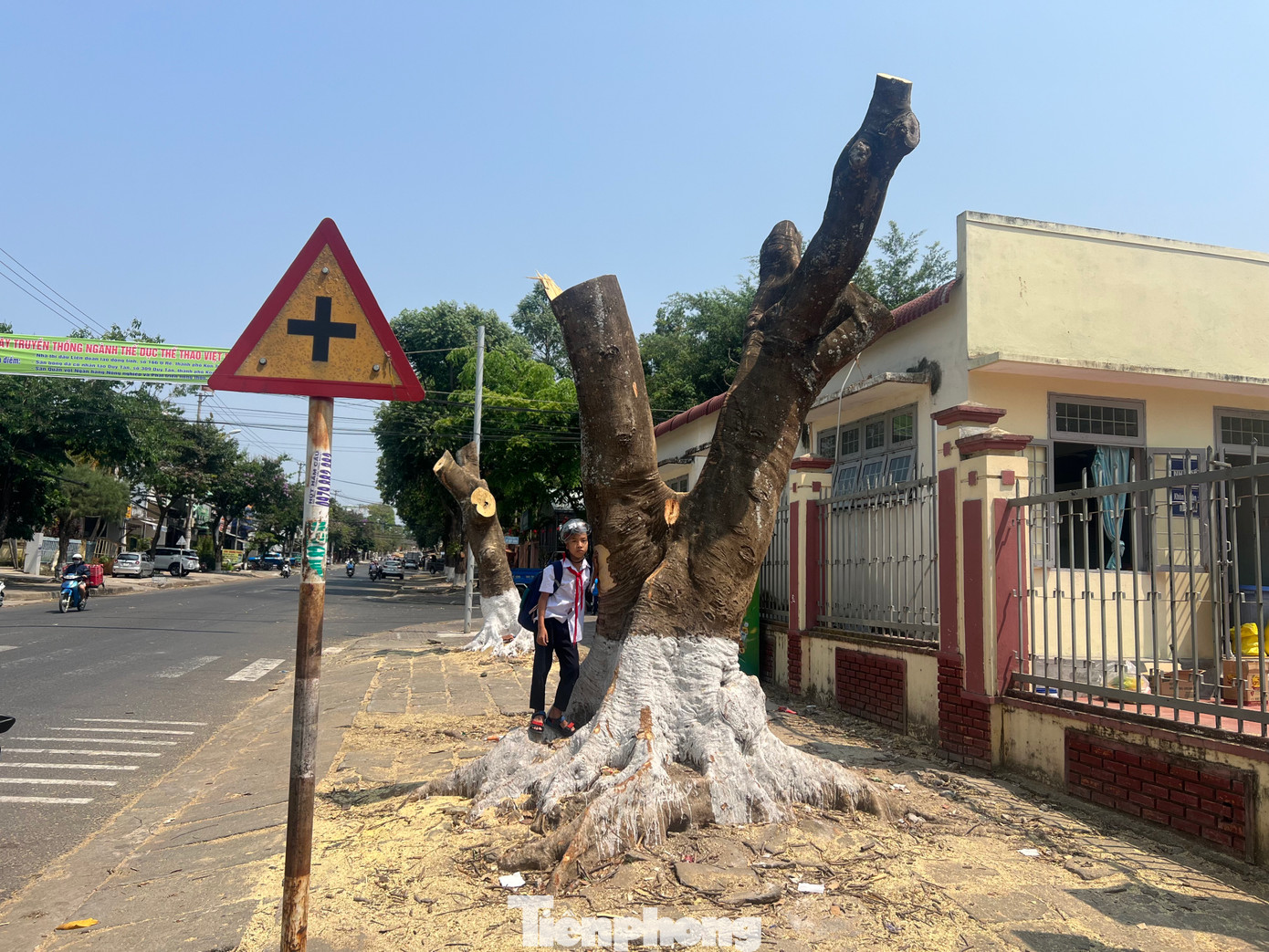 Ông Lê Văn Sáu – phụ huynh có cháu tại trường Tiểu học Lê Hồng Phong - cho hay trước có bóng mát của cây phượng còn đỡ, giờ chỉ cần đứng vài phút là áo đã ướt đẫm mồ hôi. Các cháu đứng dưới cái nắng như đổ lửa mà thấy thương.