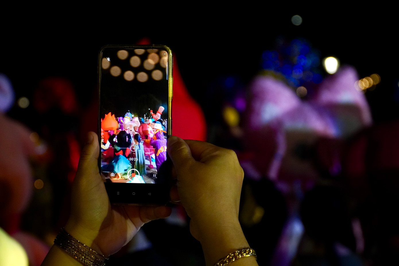 Giữa tiết trời 17 độ C, rất đông người dân và du khách phấn chấn ghi lại khoảnh khắc các đoàn diễu hành trên đường phố.