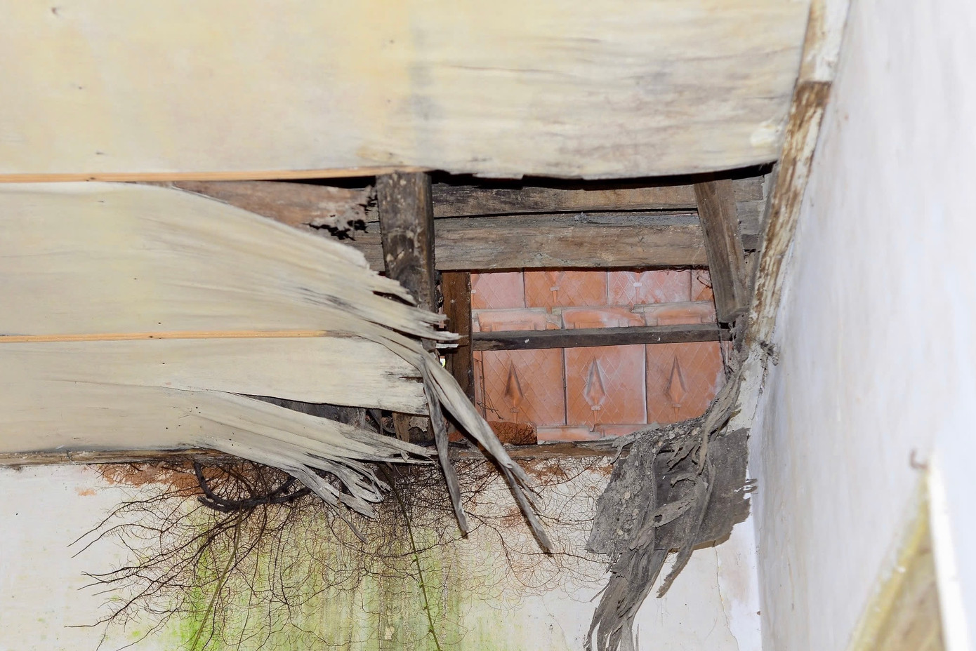 Một số hạng mục làm bằng gỗ bị mục nát