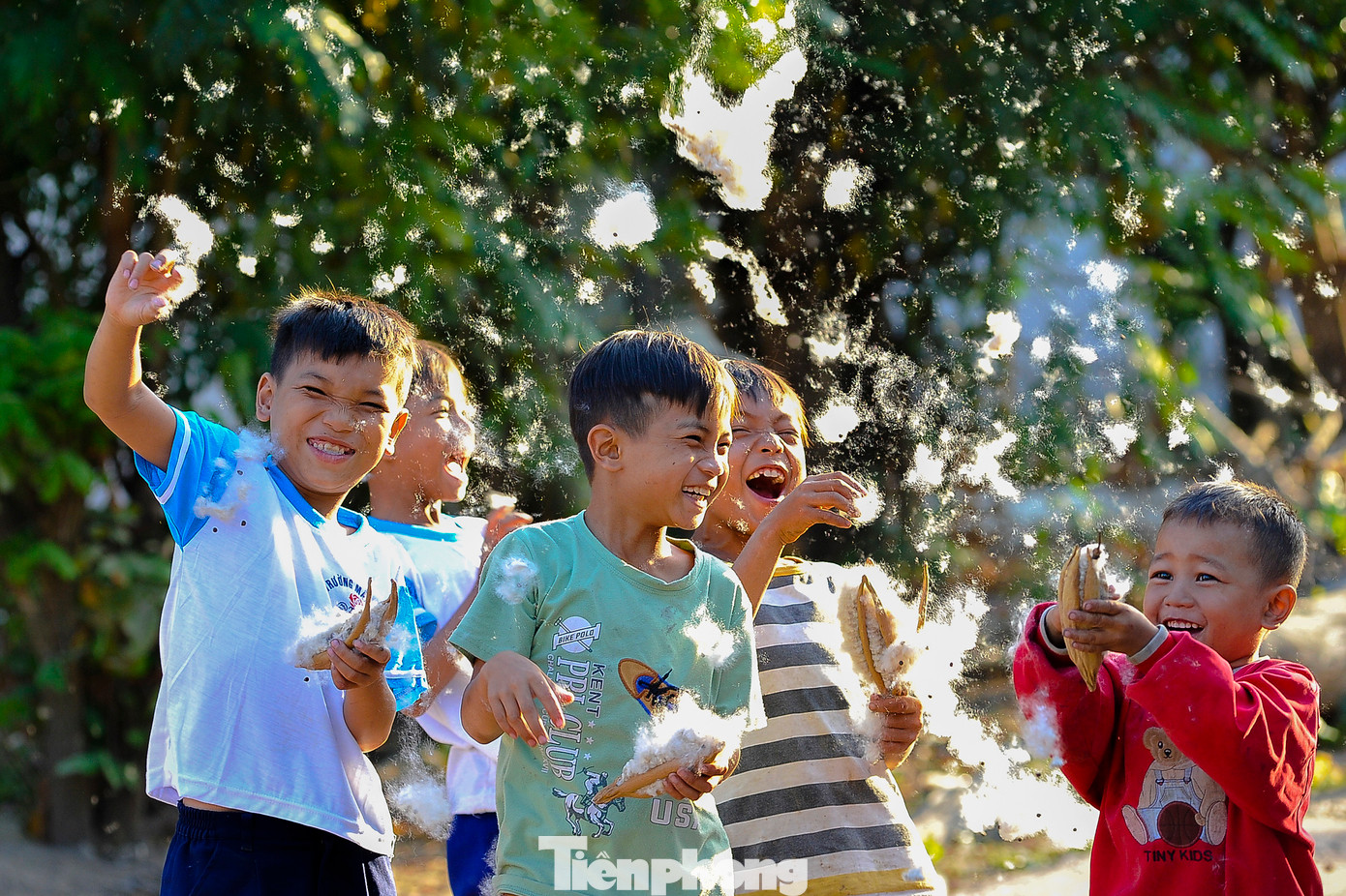 Nô đùa với những trái bông gòn.