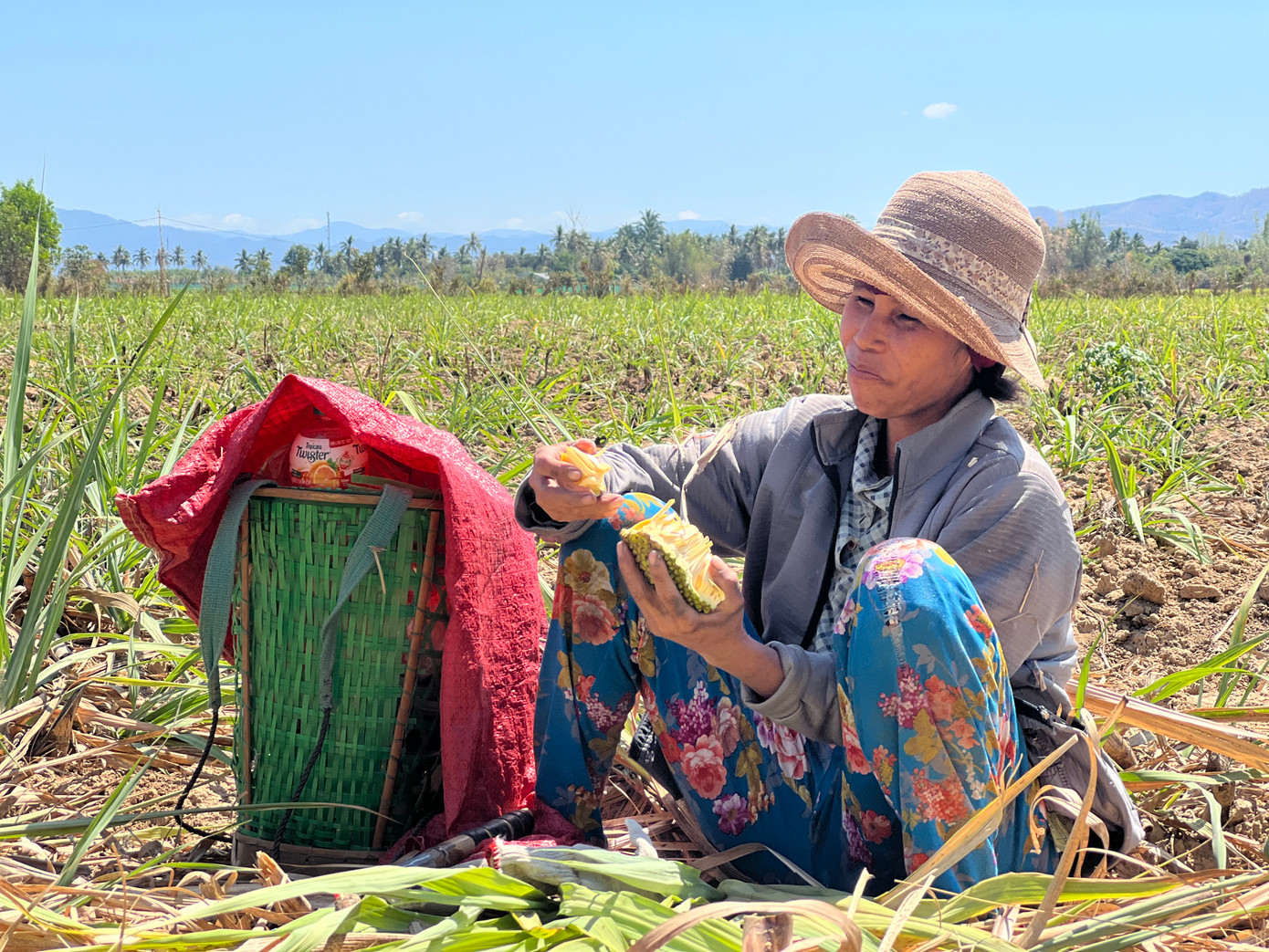 Tranh thủ nghỉ tay, chị Y Mlim chia sẻ: "Nhìn thì đơn giản, nhưng việc chặt mía đòi hỏi phải có sức khỏe tốt. Mấy nay, thời tiết Tây Nguyên vào mùa khiến việc chặt mía rất mệt. Vì cuộc sống mưu sinh, mình phải cố chịu".