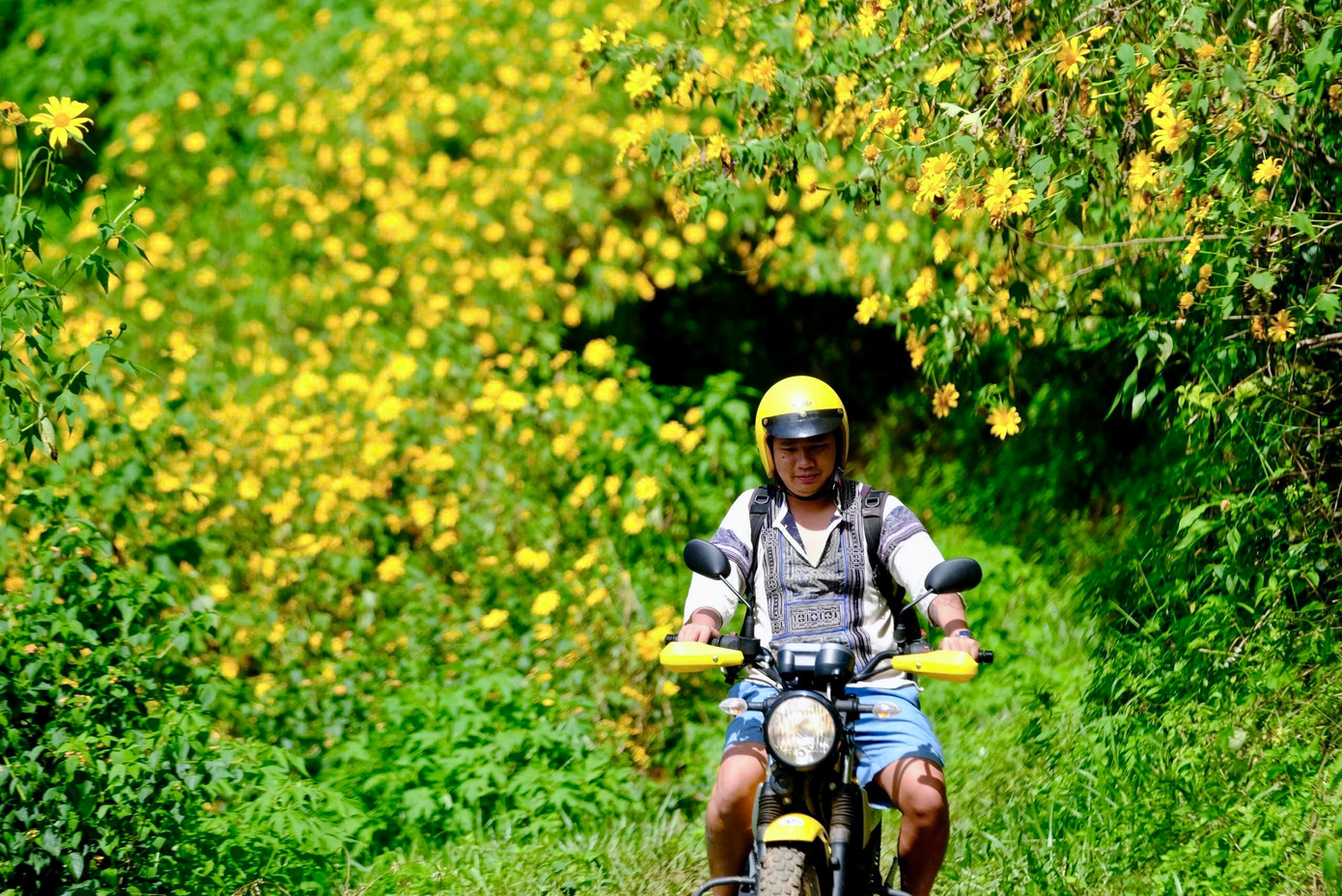 Đến Lâm Đồng vào mùa hoa dã quỳ, du khách không chỉ được chiêm ngưỡng sắc vàng tươi của hoa mà còn có thể tận hưởng khí hậu se lạnh của vùng cao nguyên.