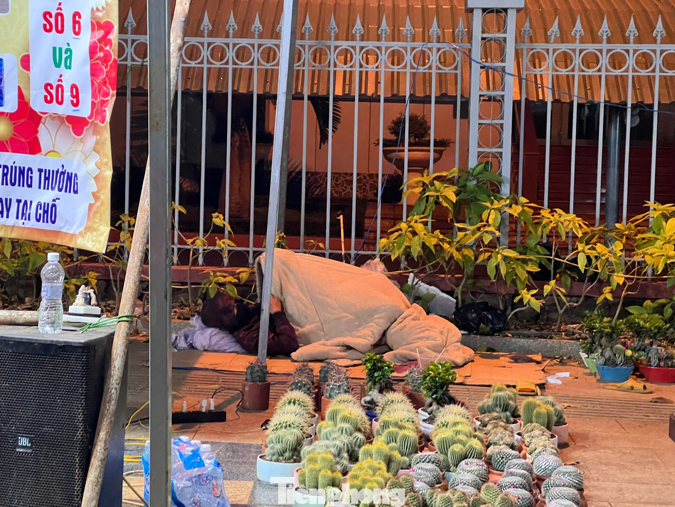 Người đàn ông trải chiếu, đắp chăn ngủ giữa trời để trông hoa Tết.