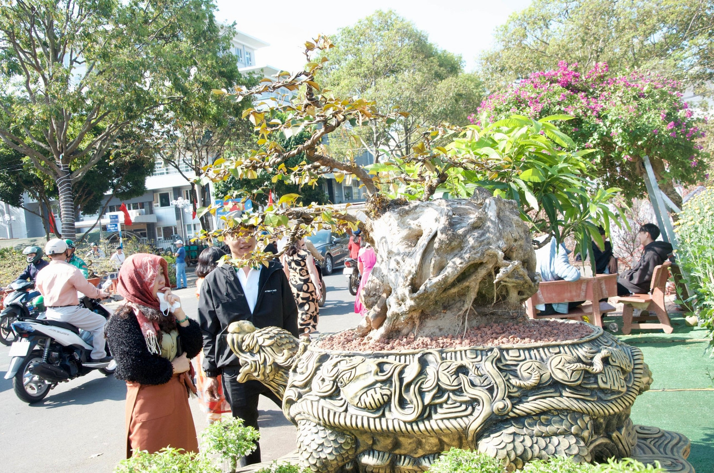 Những ngày này tại quảng trường 10/3, TP Buôn Ma Thuột càng đông đúc hơn với dòng người đổ về đây mua hoa, cây cảnh và các vật dụng tiểu cảnh để trang hoàng nhà cửa chuẩn bị đón Xuân.