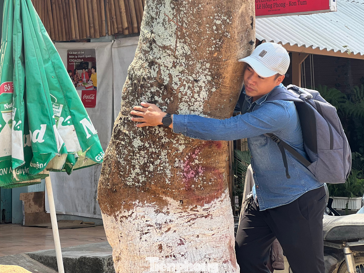 Nhiều hộ gia đình trên đường Lê Hồng Phong cho biếcây xanh đã tồn tại hơn 20 năm, có cây 30 năm, việc chặt đi rồi bứng gốc khiến cho ai cũng cảm thấy tiếc nuối.