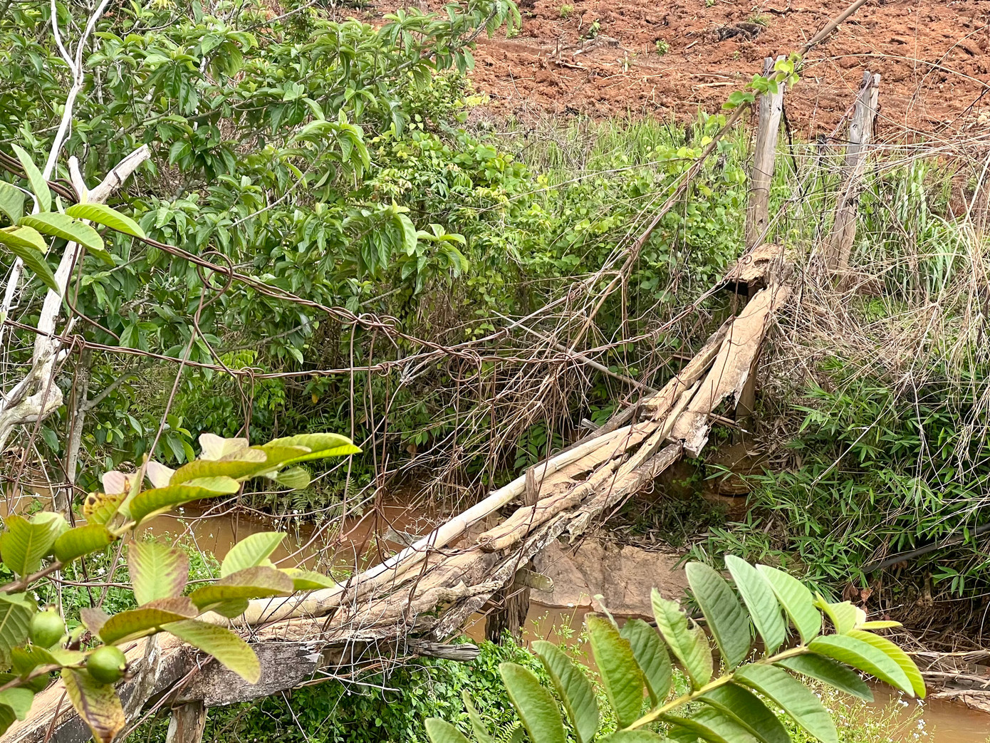 Cầu rung lắc mỗi lần đi qua và có nguy cơ đứt gãy bất cứ lúc nào