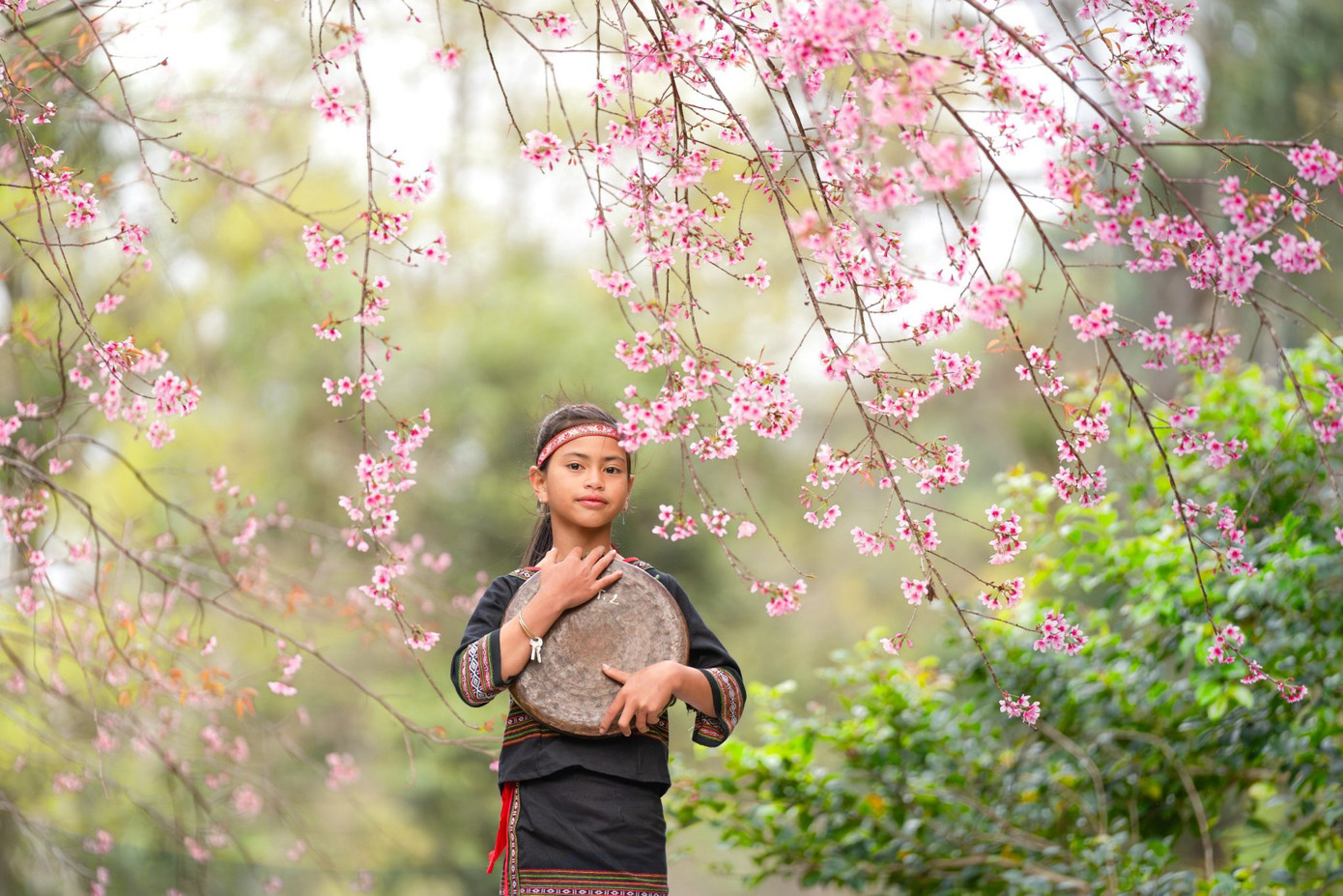 Theo các nhiếp ảnh gia, thời điểm chụp ảnh hoa đẹp nhất là sáng sớm hoặc hoàng hôn.