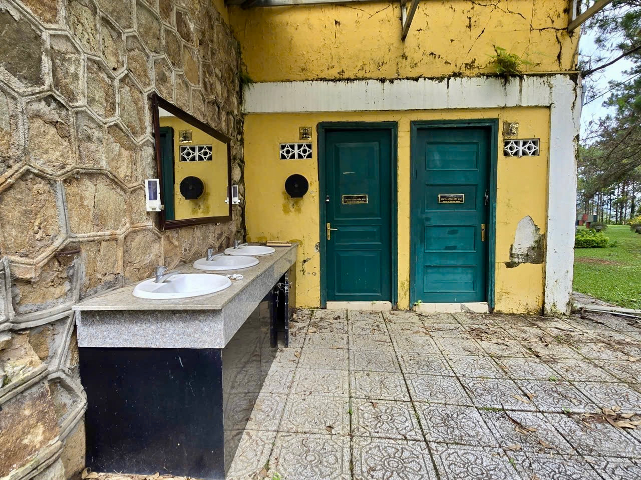 Nhiều tường nhà bị rêu bám mốc, bong tróc.