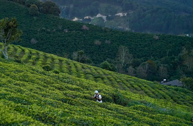 Giải có cự ly dài nhất Việt Nam, lên đến 182km, thử thách cả thể lực và ý chí các runner.