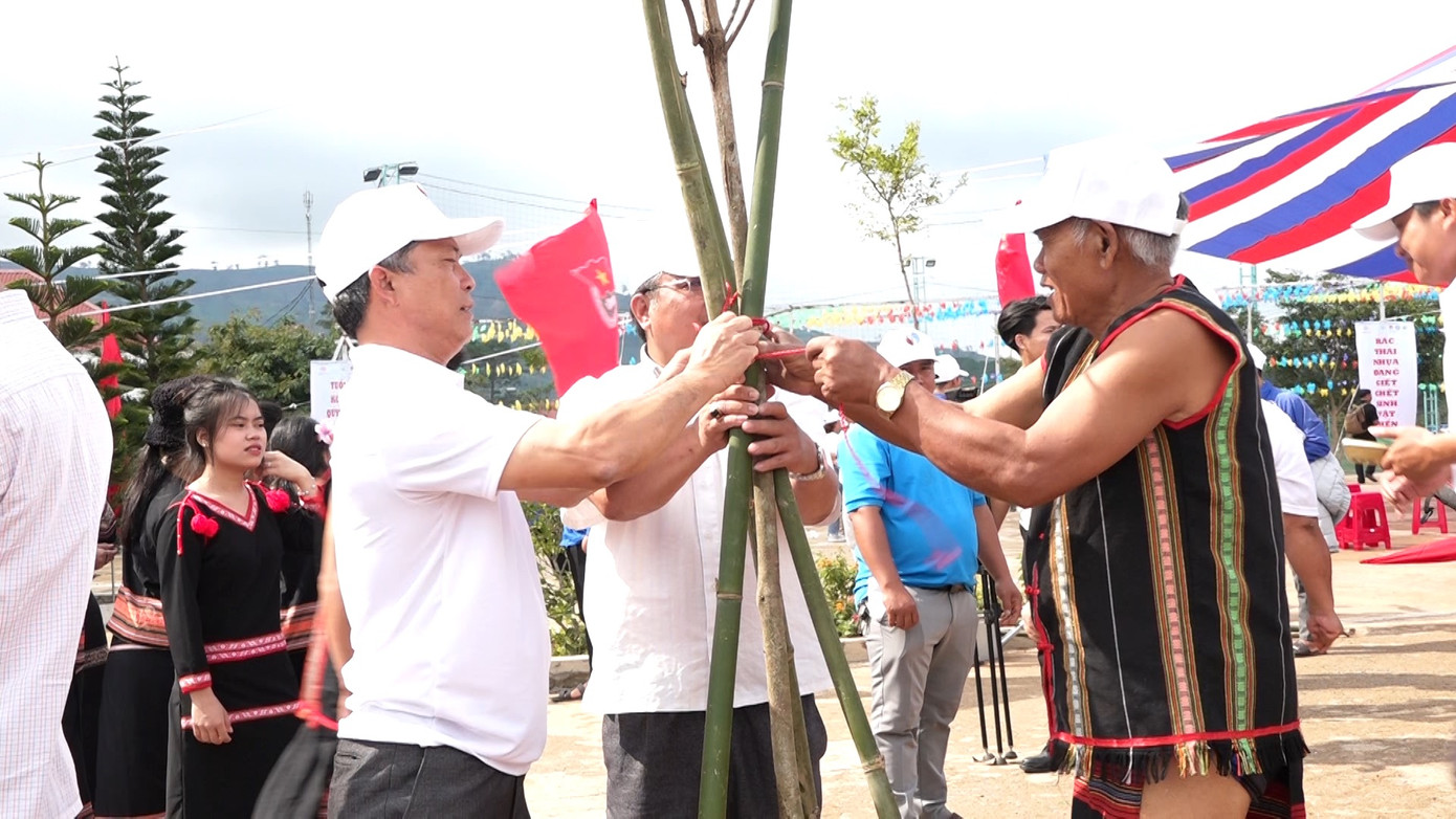 Các sở, ngành, già làng, học sinh Kon Tum tham gia trồng cây