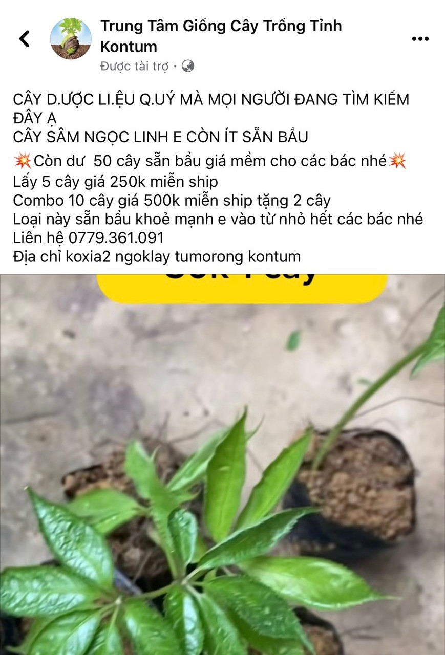 Trang fanpage do C. lập để lừa đảo (ảnh chụp màn hình) Trang fanpage do C. lập để lừa đảo (ảnh chụp màn hình)