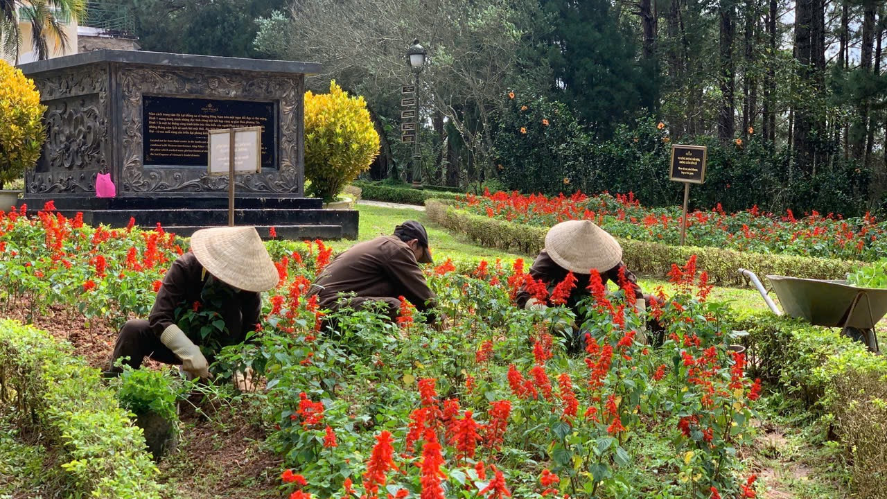 Chị Nguyễn Thị Hằng, người phụ trách chăm sóc cây xanh tại Dinh 1 suốt 7 năm chia sẻ trước đây, tổ cây xanh có 7 người chăm sóc, giờ chỉ còn 3 người vì công ty cắt giảm nhân sự.