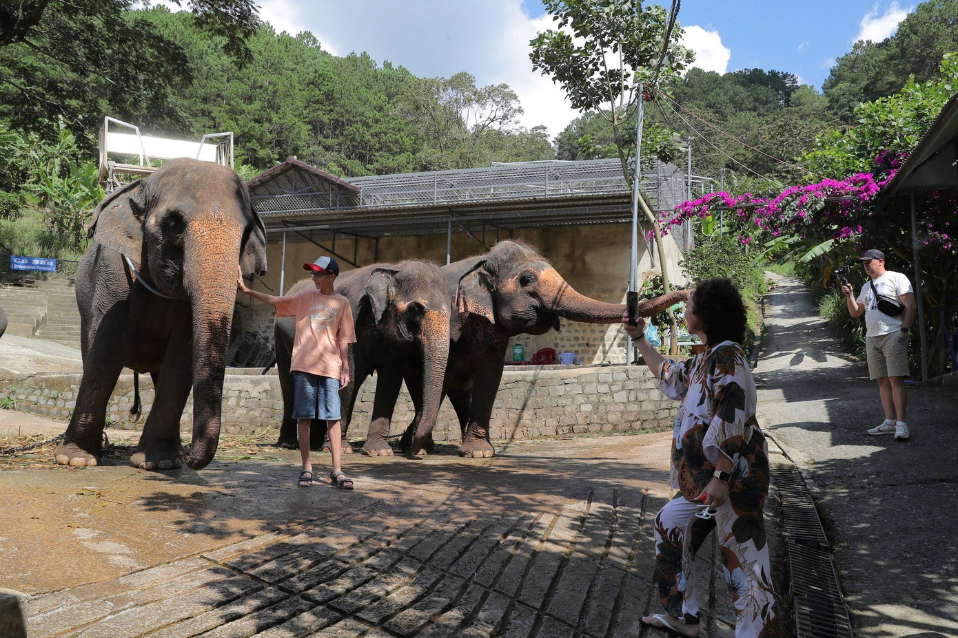 Ông Phan Đắc Mậu Đại (46 tuổi) là một bác sĩ thú y. 13 năm nay, ông rong ruổi, bỏ công sức đi khắp các buôn làng, đoàn xiếc, cơ sở nuôi nhốt thú tại các tỉnh, thành phố để thuyết phục các tổ chức, cá nhân chuyển giao, bán lại các cá thể thú.