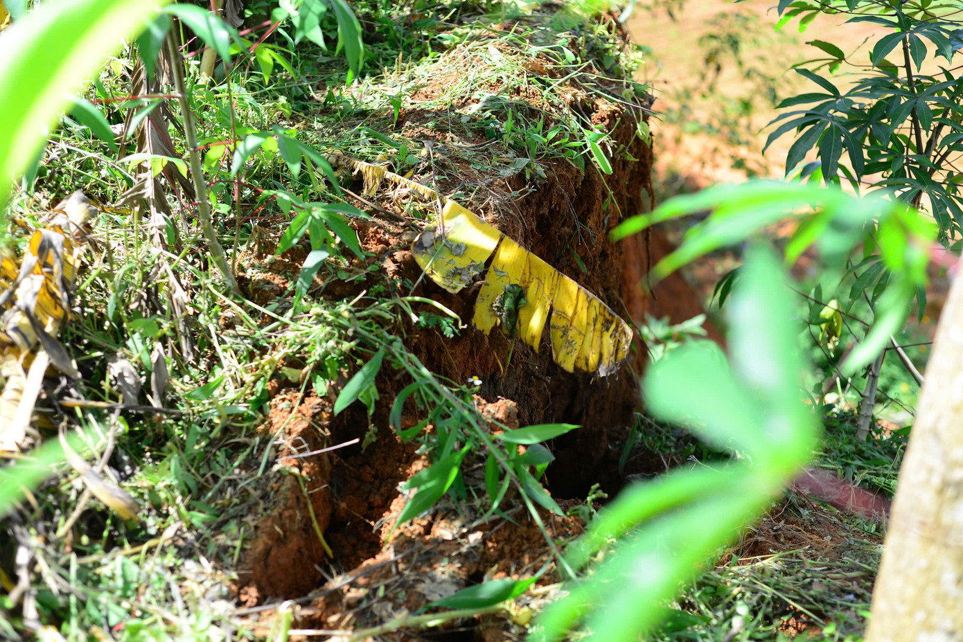 Theo người dân địa phương, vết nứt trên đã xuất hiện từ năm 2019 với chiều dài chỉ khoảng 20m.