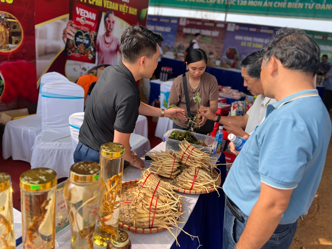 Người dân, doanh nghiệp trưng bày các loại sâm tại Hội thi