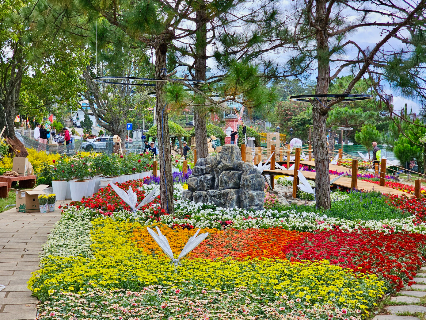 Các công viên và khu vực trung tâm Đà Lạt được tô điểm bởi 32.800 chậu hoa, hàng trăm cành địa lan, hoa Hồ Điệp,... làm nổi bật thế mạnh nông nghiệp công nghệ cao của thành phố.