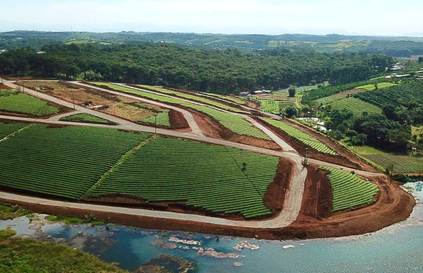 1 khu đất trong 14 khu bị tạm dừng giao dịch 1 khu đất trong 14 khu bị tạm dừng giao dịch