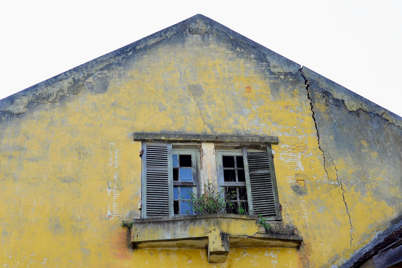 Nhiều mảng tường của các ngôi biệt thự bị mốc, phủ rêu