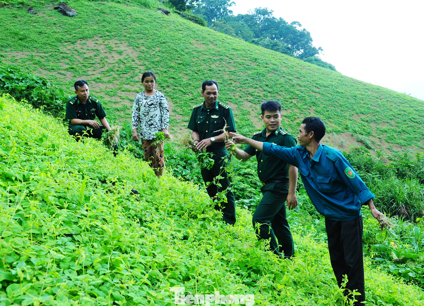 Người dân báo cáo kết quả gieo trồng sâm dây theo hướng dẫn của Bộ đội Biên phòng.