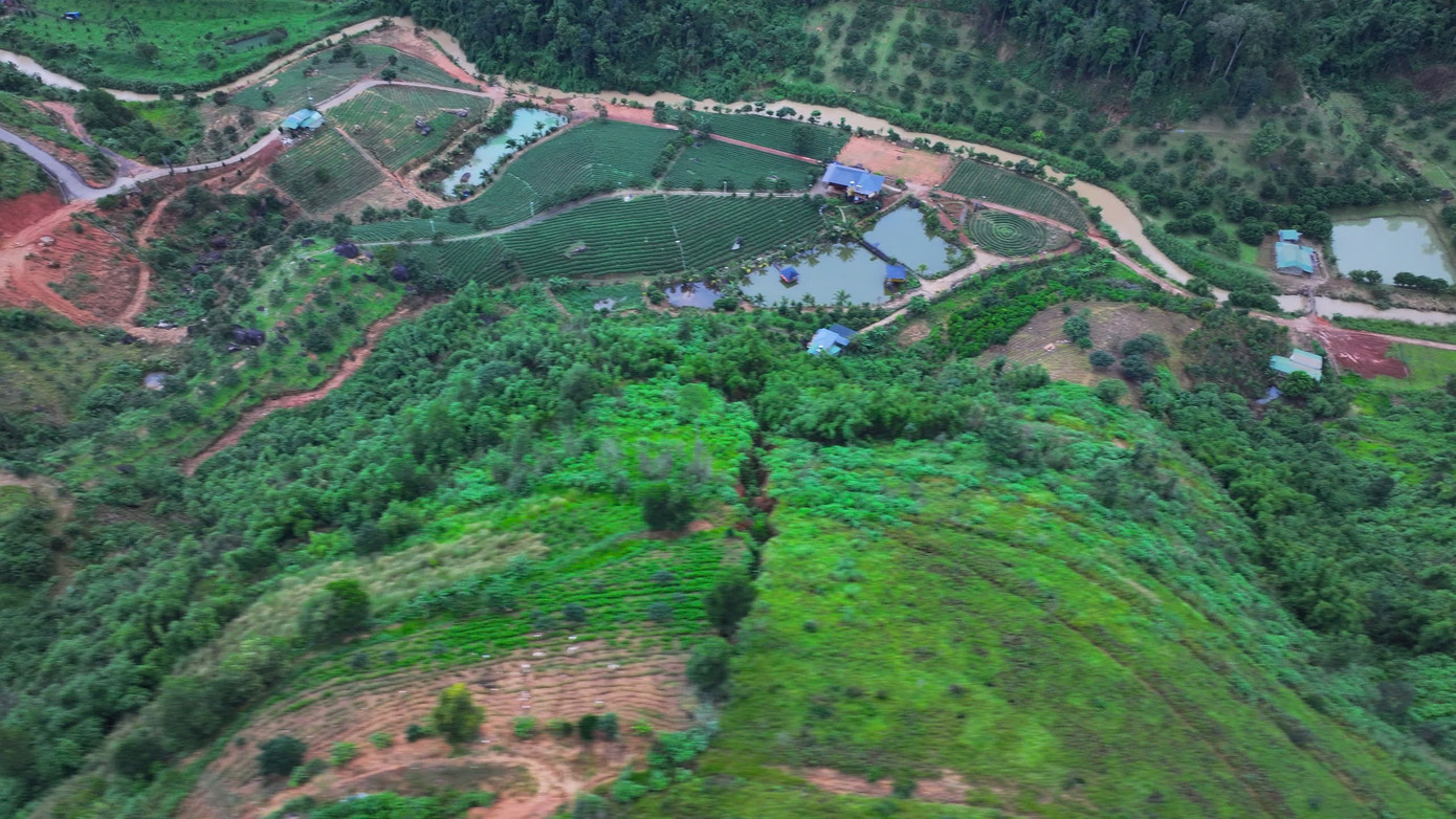 Vết nứt kéo dài hàng chục mét Vết nứt kéo dài hàng chục mét