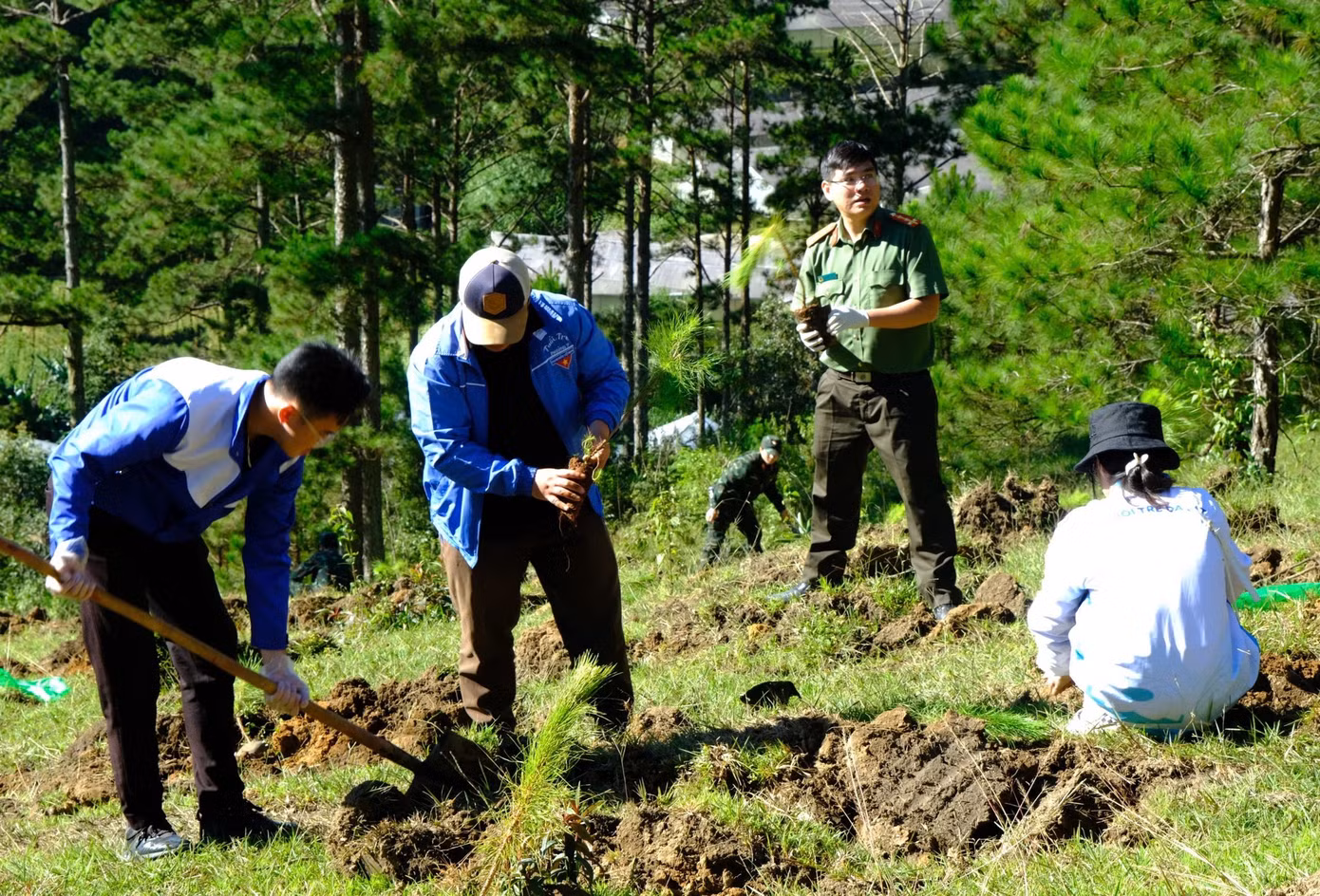 Các đại biểu tham gia trồng cây