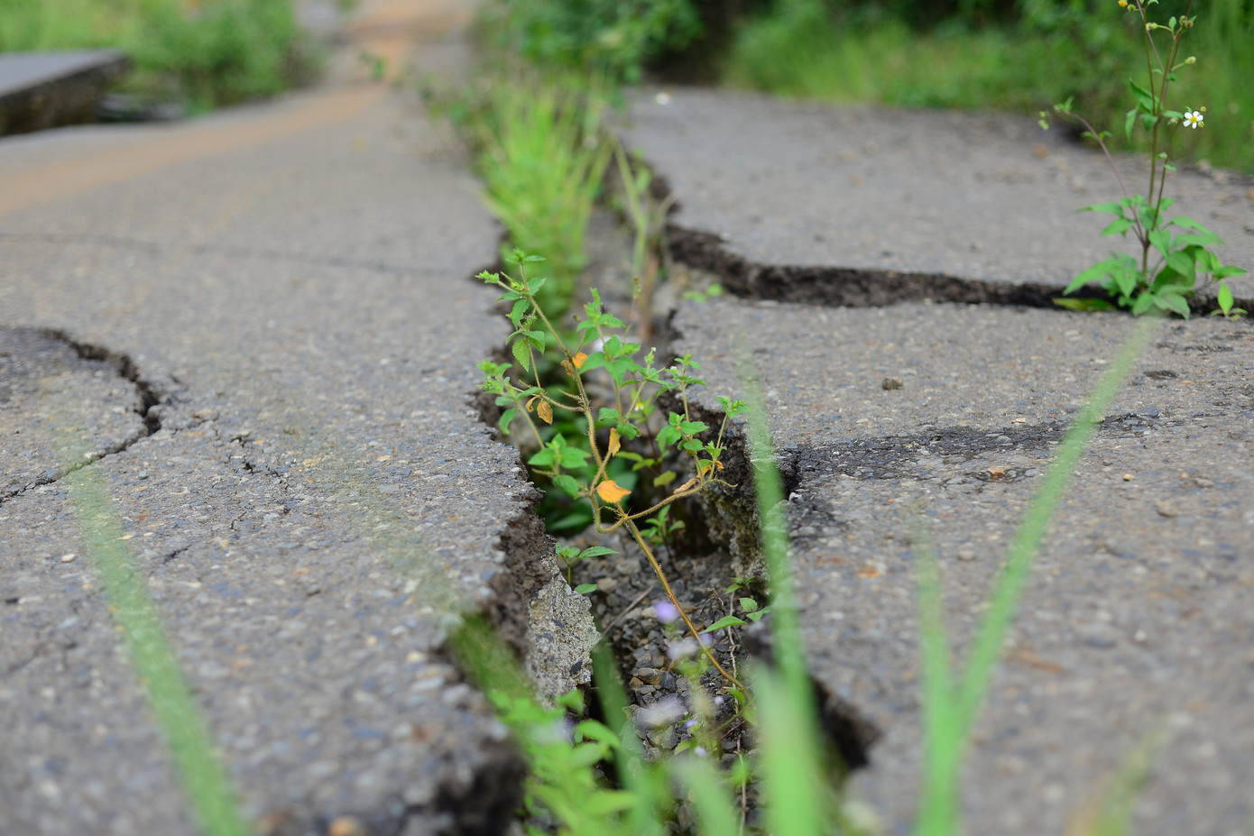 Tại một vị trí khác cũng bị nứt với độ mở khoảng 20cm.
