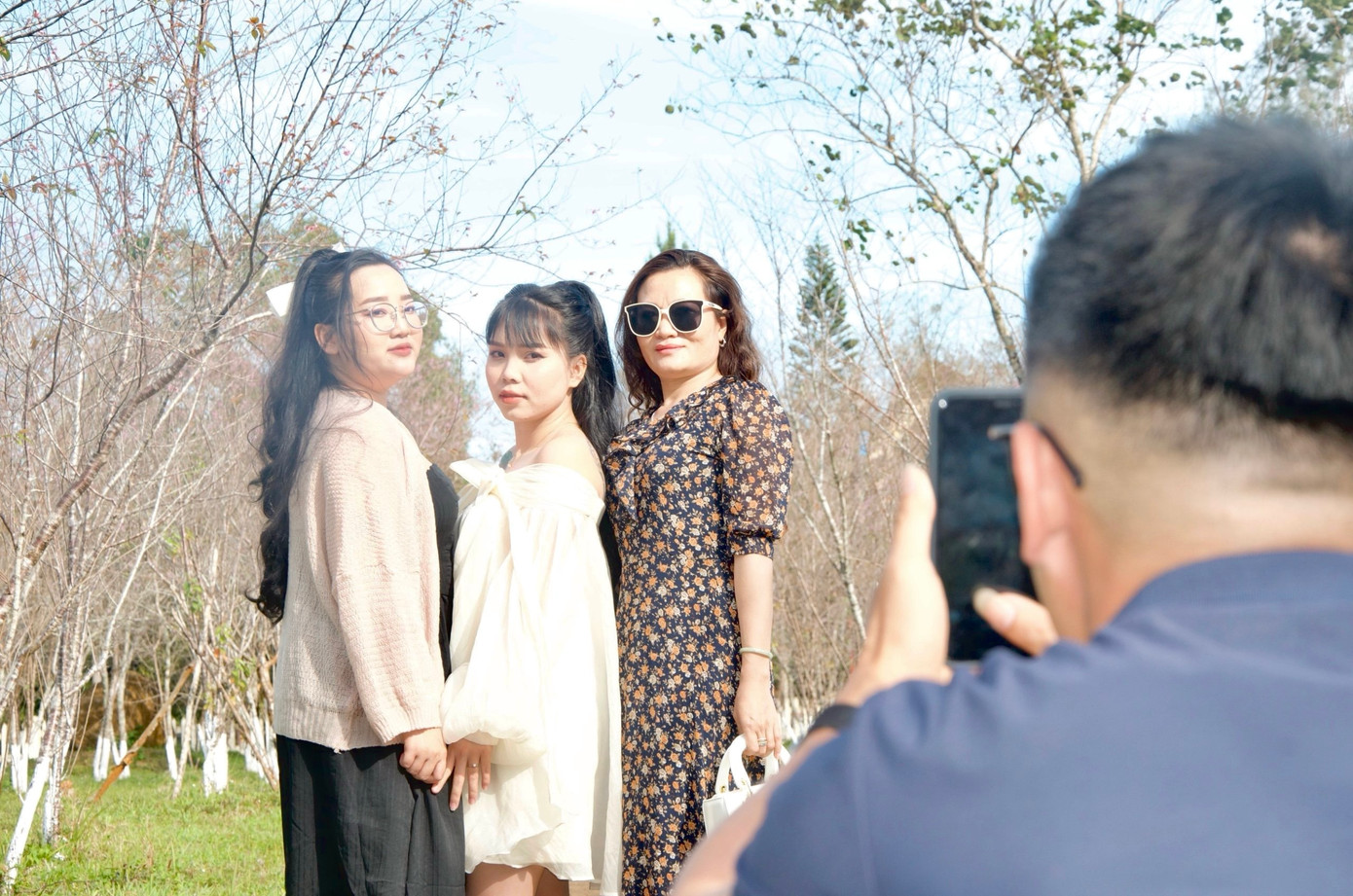 Hiện các loại đào khác đã bắt đầu nở rộ, một số cây hoa mai anh đào cũng bắt đầu nở.