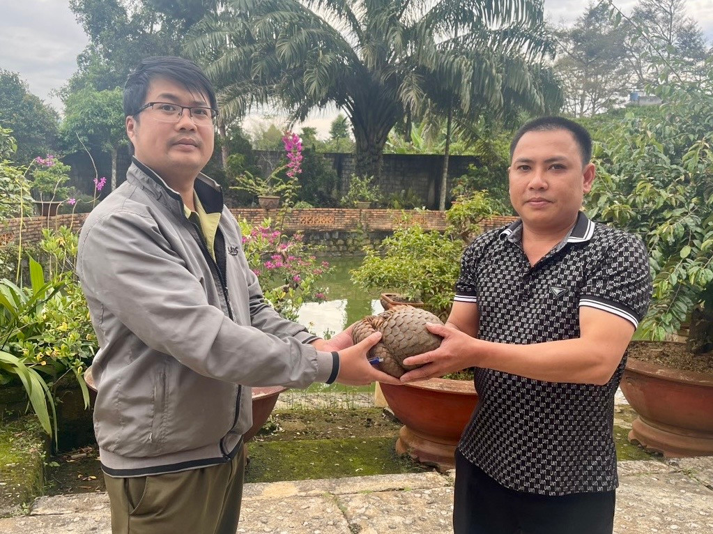 Hạt Kiểm lâm thành phố Bảo Lộc tiếp nhận cá thể tê tê quý hiếm Hạt Kiểm lâm thành phố Bảo Lộc tiếp nhận cá thể tê tê quý hiếm