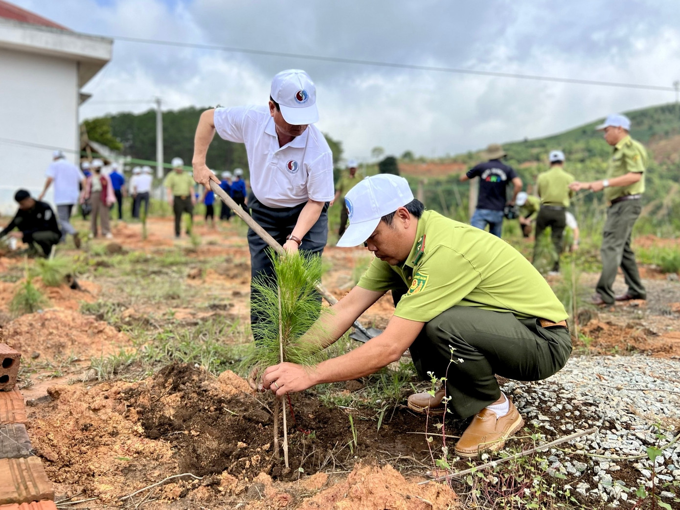 Dịp này, 102.020 cây xanh được trồng tại huyện Tu Mơ Rông