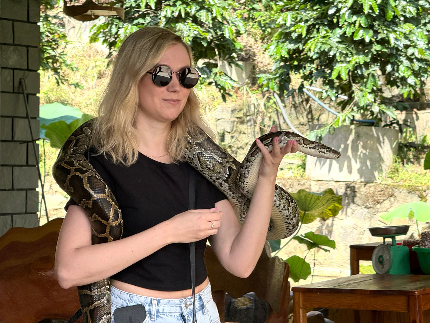 Du khách thích thú chơi cùng đàn thú