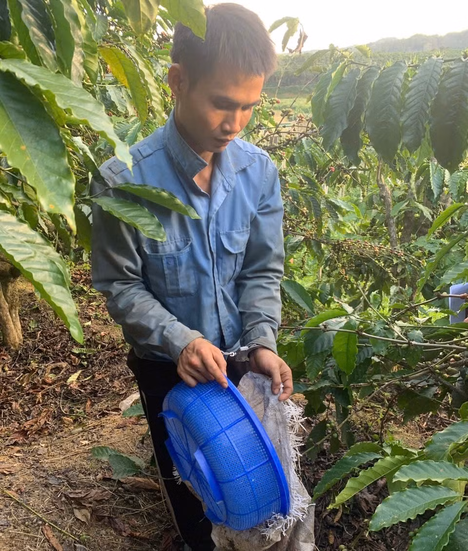 Lưu Xuân Kiên bị bắt khi đang vận chuyển cà phê vừa trộm đi tiêu thụ