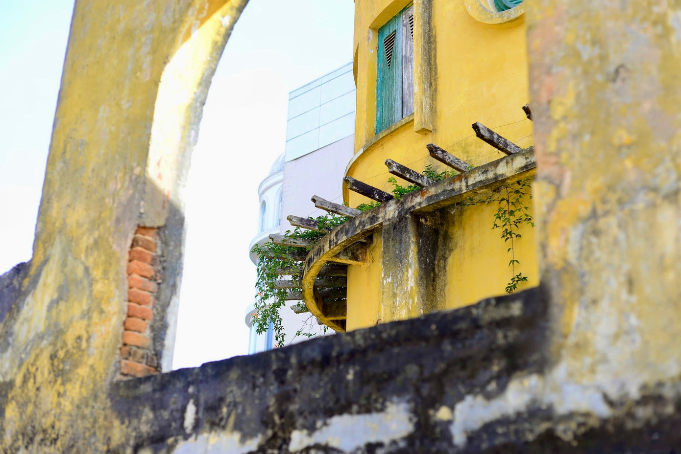 Nhiều mảng tường của các ngôi biệt thự bị mốc, phủ rêu