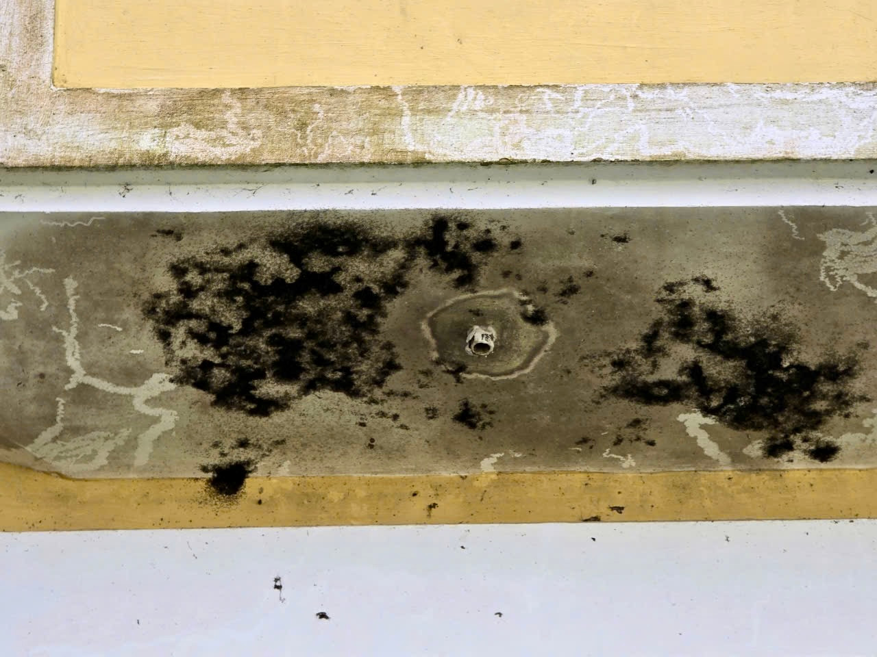 Nhiều tường nhà bị rêu bám mốc, bong tróc.