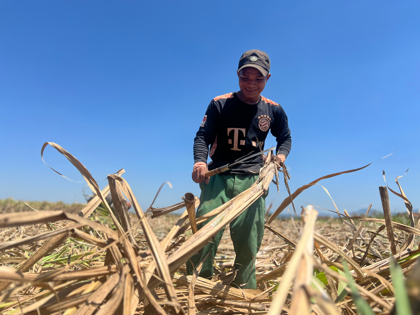 Anh A Luân cho biết: “Chặt, bốc vác mía thuê tuy nặng nhọc nhưng một vụ mía có thể kiếm được tiền triệu. Chỉ cần mình cẩn thận khỏi lá mía cứa hoặc lông mía rụng vào người là được”.