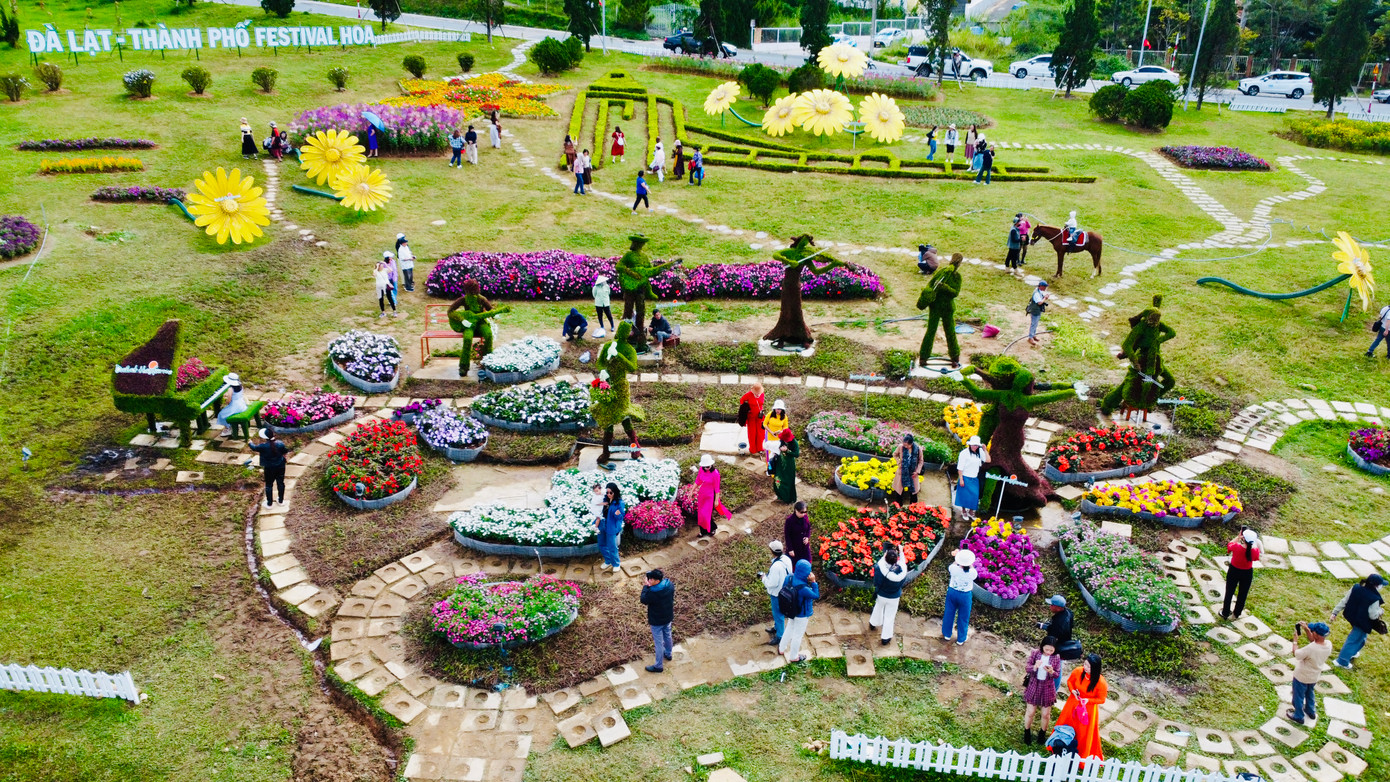 Theo ban tổ chức Festival hoa Đà Lạt (Lâm Đồng), dịp này tại các tiểu cảnh trang trí hơn 35.000 chậu hoa các loại, tô điểm thêm vẻ đẹp thành phố.