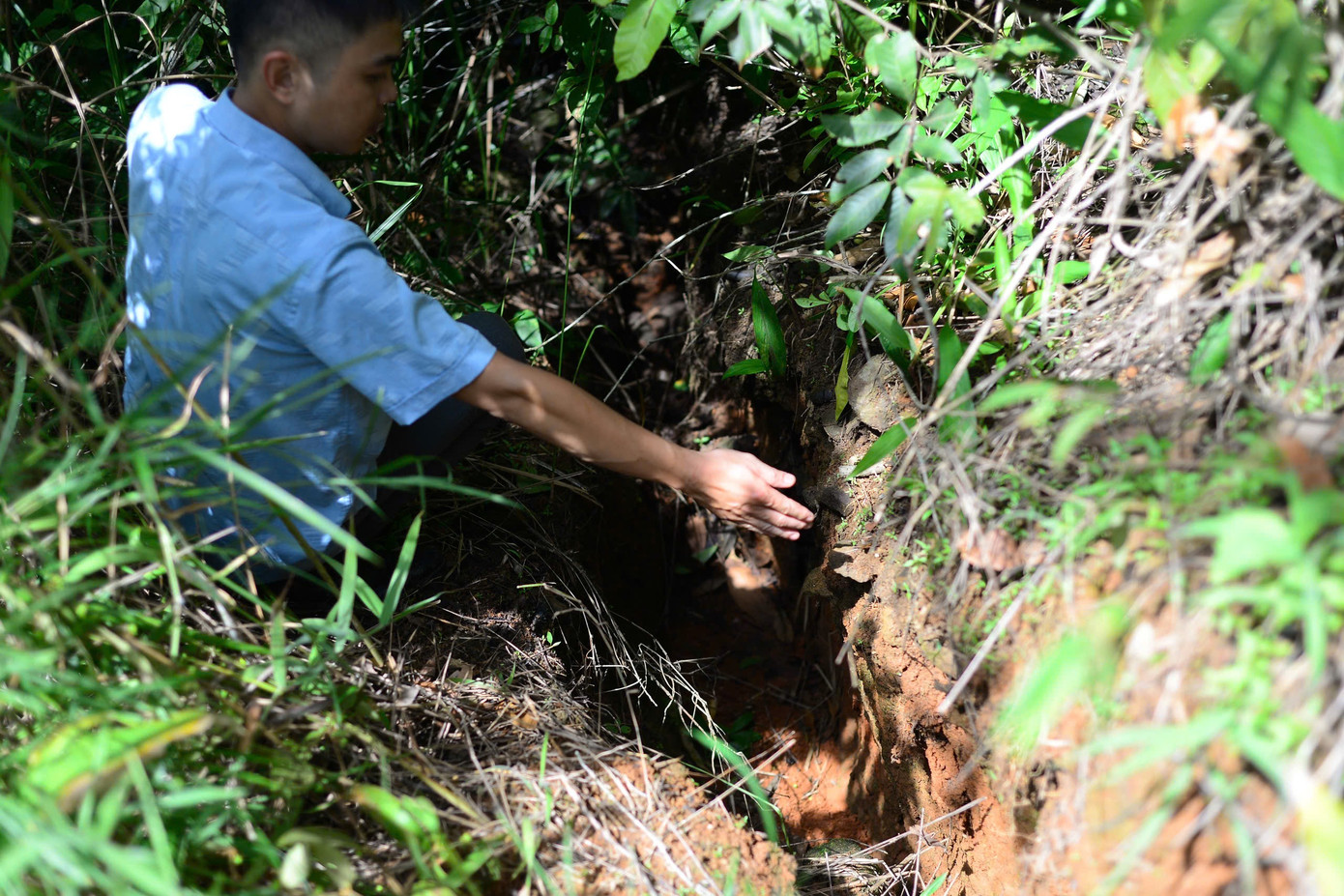 Ghi nhận tại đồi thông phía sau thôn Quảng Hiệp, vết nứt sau đồi kéo dài khoảng gần 100m, sâu khoảng 2m và miệng vết nứt mở rộng từ 1-3m.