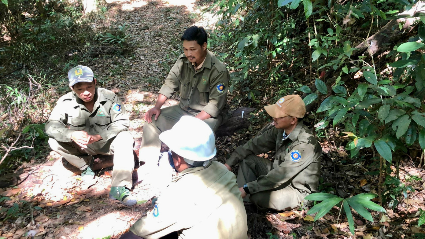 Lực lượng bảo vệ rừng thường xuyên tổ chức các nhóm tuần tra, bảo vệ cây 24/24.