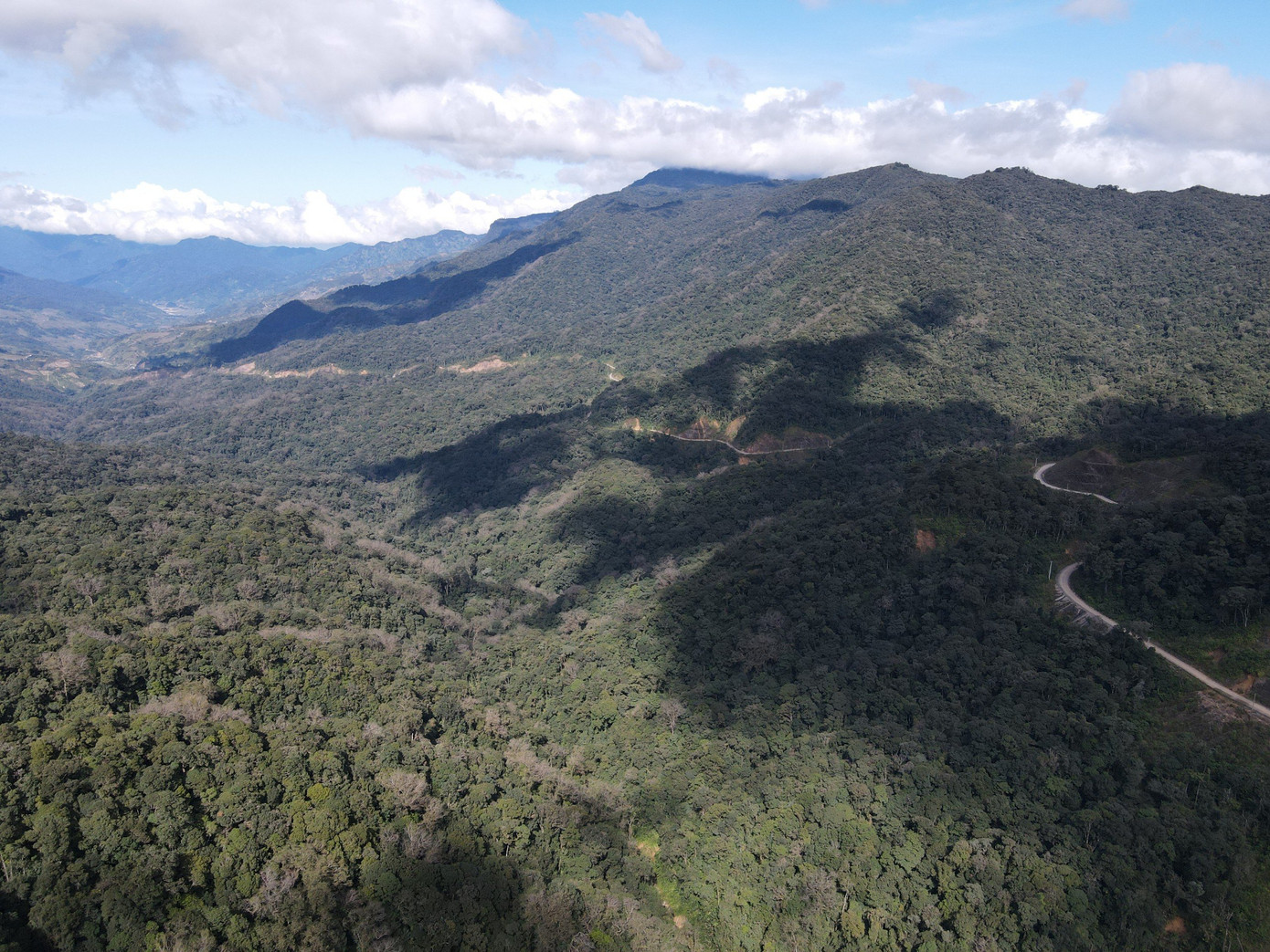 Khu Bảo tồn thiên nhiên Ngọc Linh nhìn từ trên cao. Ảnh: Ngọc Oanh