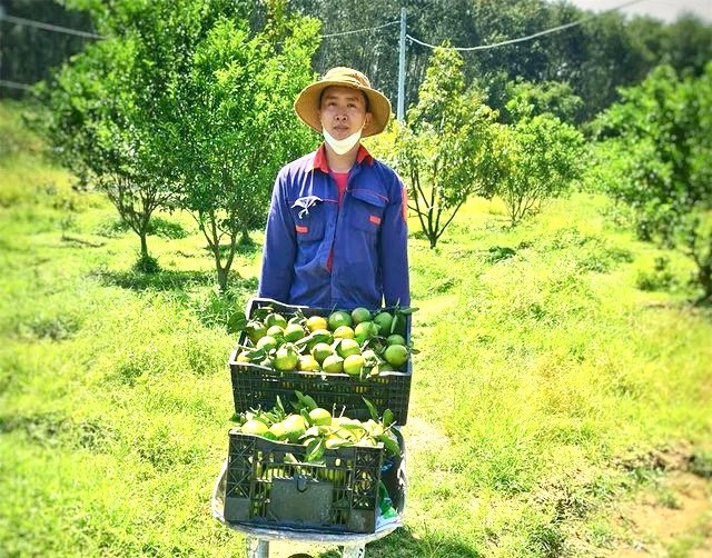 Kiên trì với quyết định, Phó Bí thư đoàn xã kiếm tiền tỷ mỗi năm