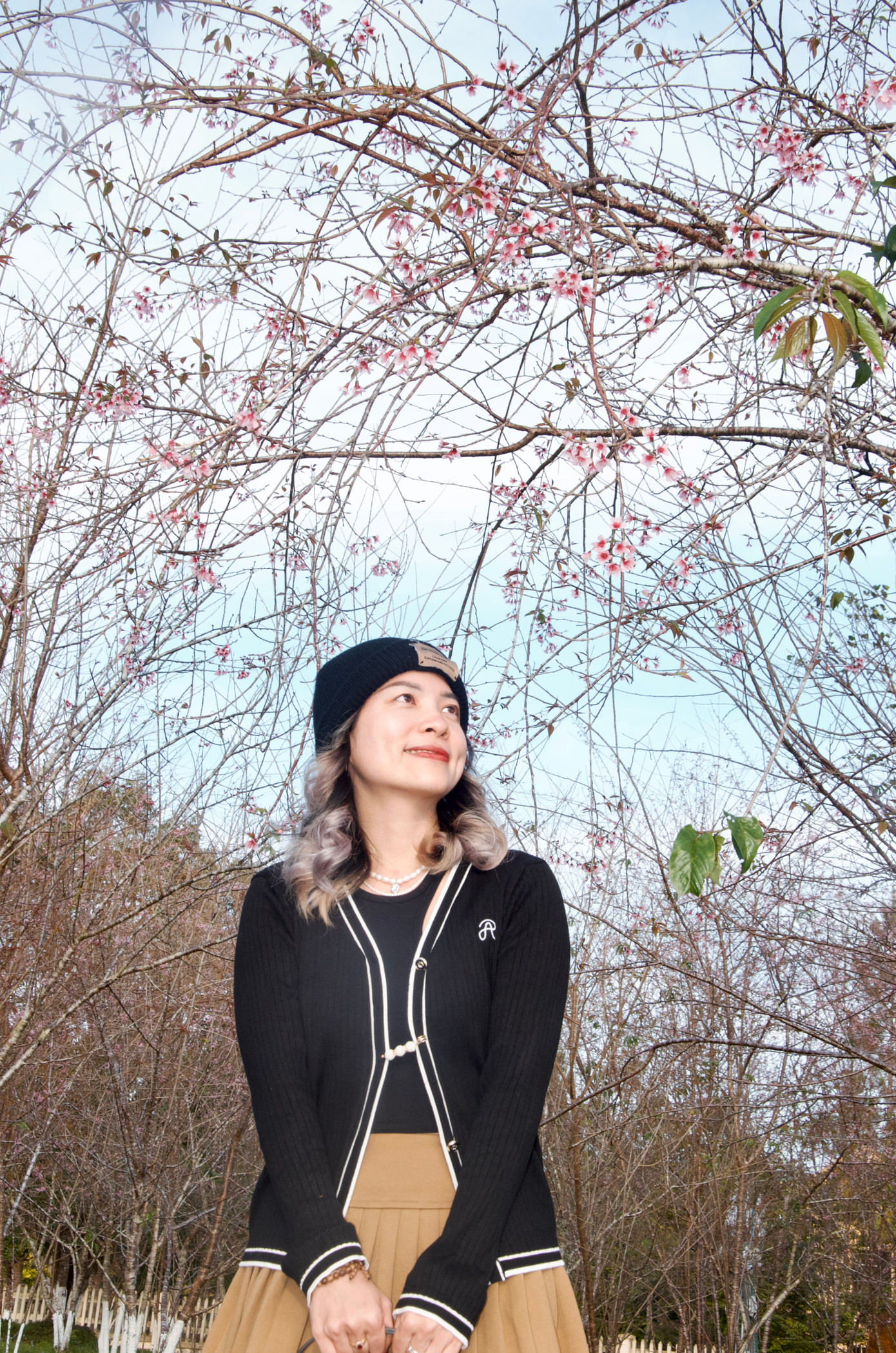 Các bạn trẻ nô nức check in dưới những cây hoa anh đào.