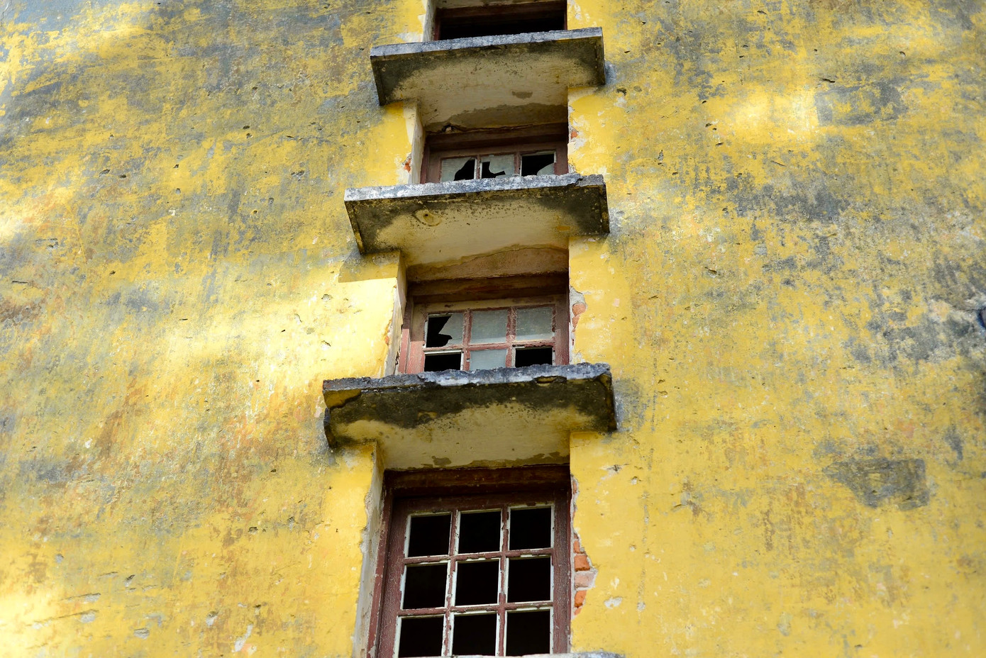 Nhiều mảng tường của các ngôi biệt thự bị mốc, phủ rêu