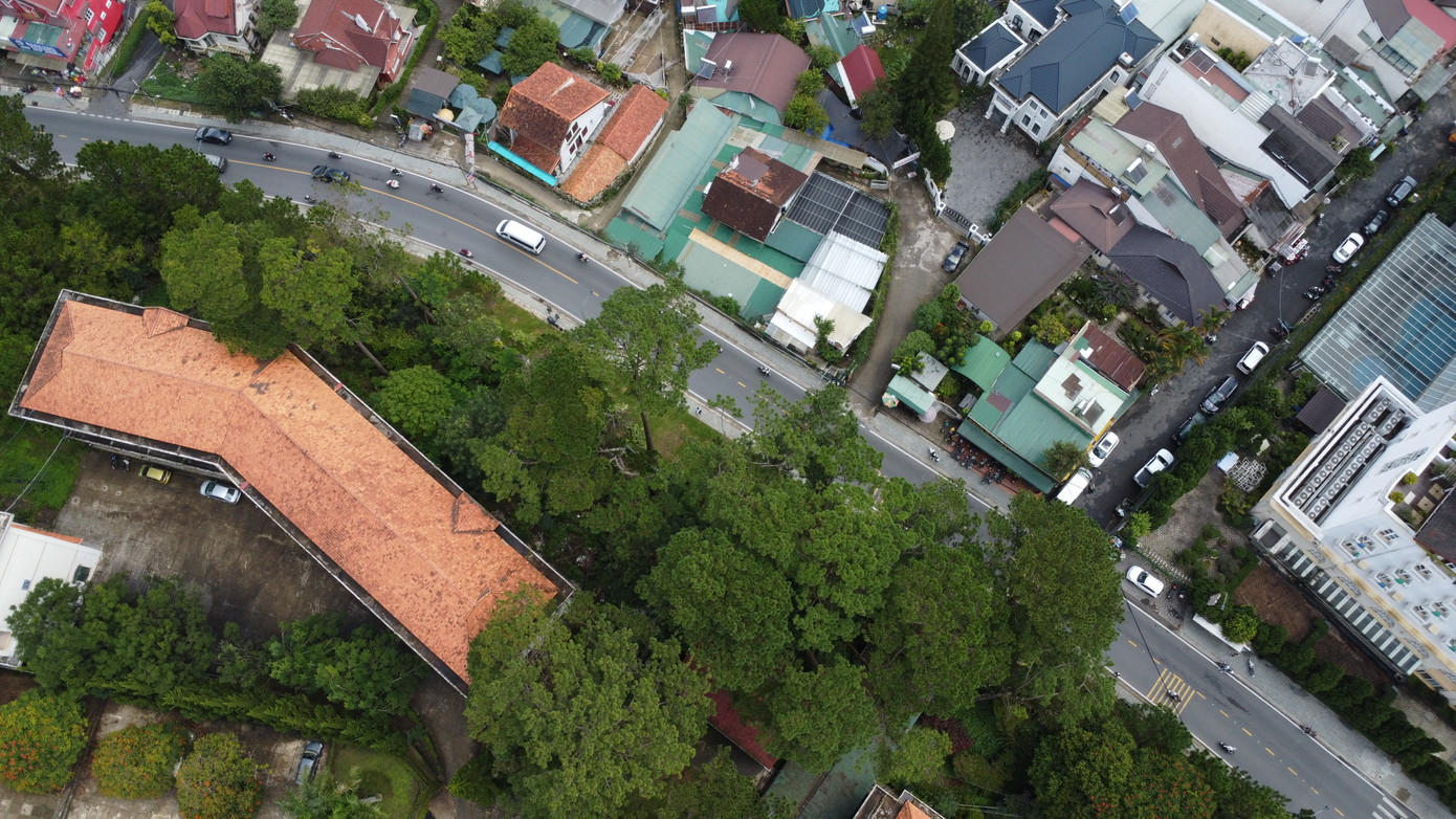 Do 108 cây thông ba lá là loài cây gắn liền với đặc trưng của thành phố Đà Lạt và đời sống của người dân. Vì vậy cần công khai thông tin về các dự án, việc di dời, chặt hạ cây xanh để người dân hiểu rõ, đồng thuận, tránh những sự việc không đáng có.