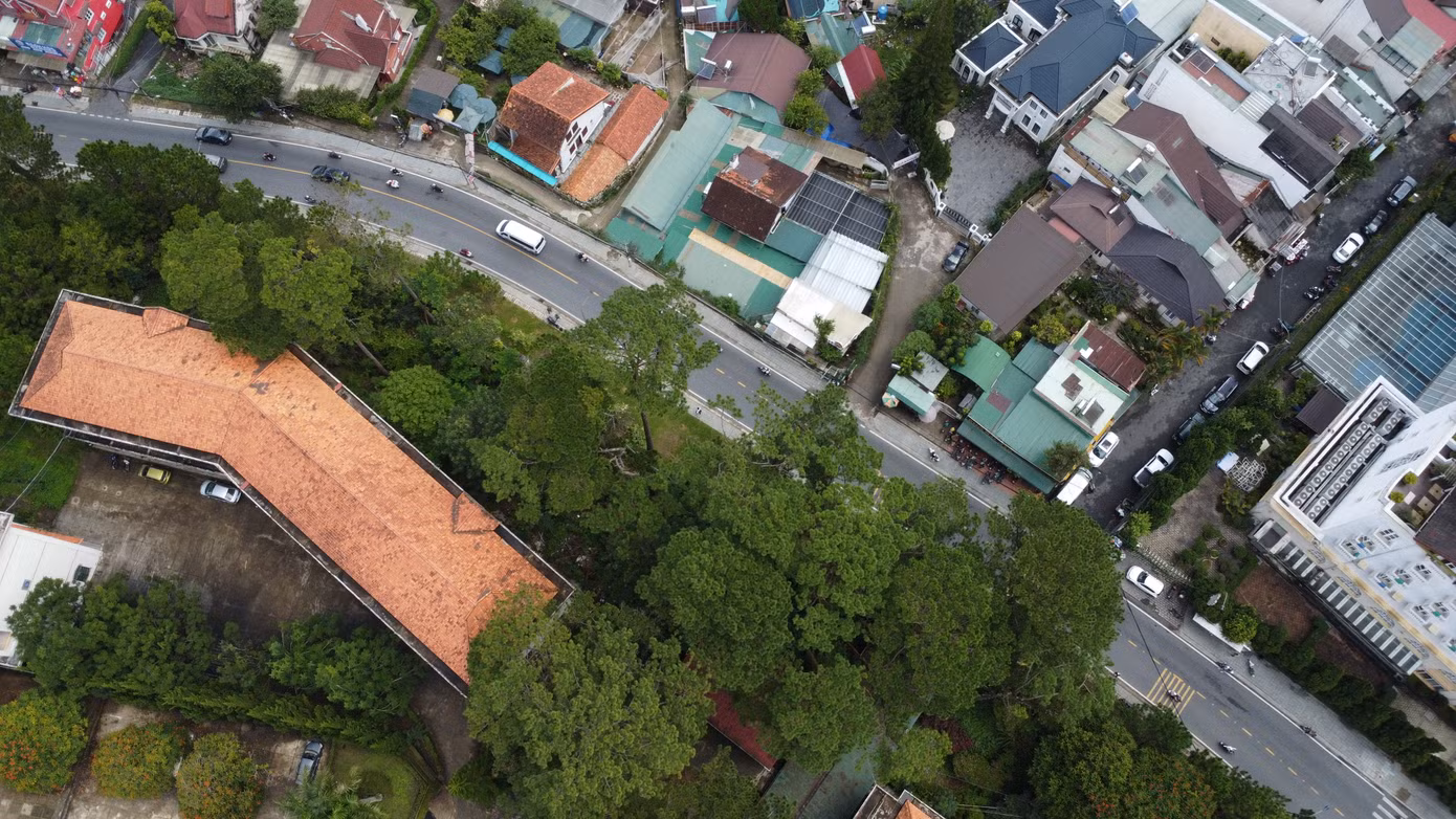 Do 108 cây thông ba lá là loài cây gắn liền với đặc trưng của thành phố Đà Lạt và đời sống của người dân. Vì vậy cần công khai thông tin về các dự án, việc di dời, chặt hạ cây xanh để người dân hiểu rõ, đồng thuận, tránh những sự việc không đáng có.