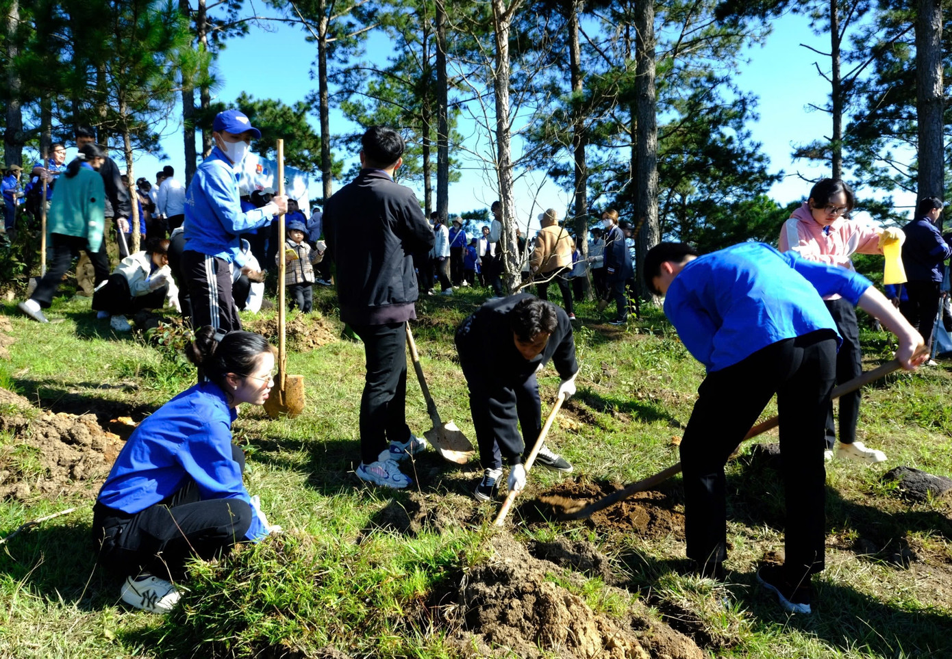 Các đại biểu tham gia trồng cây