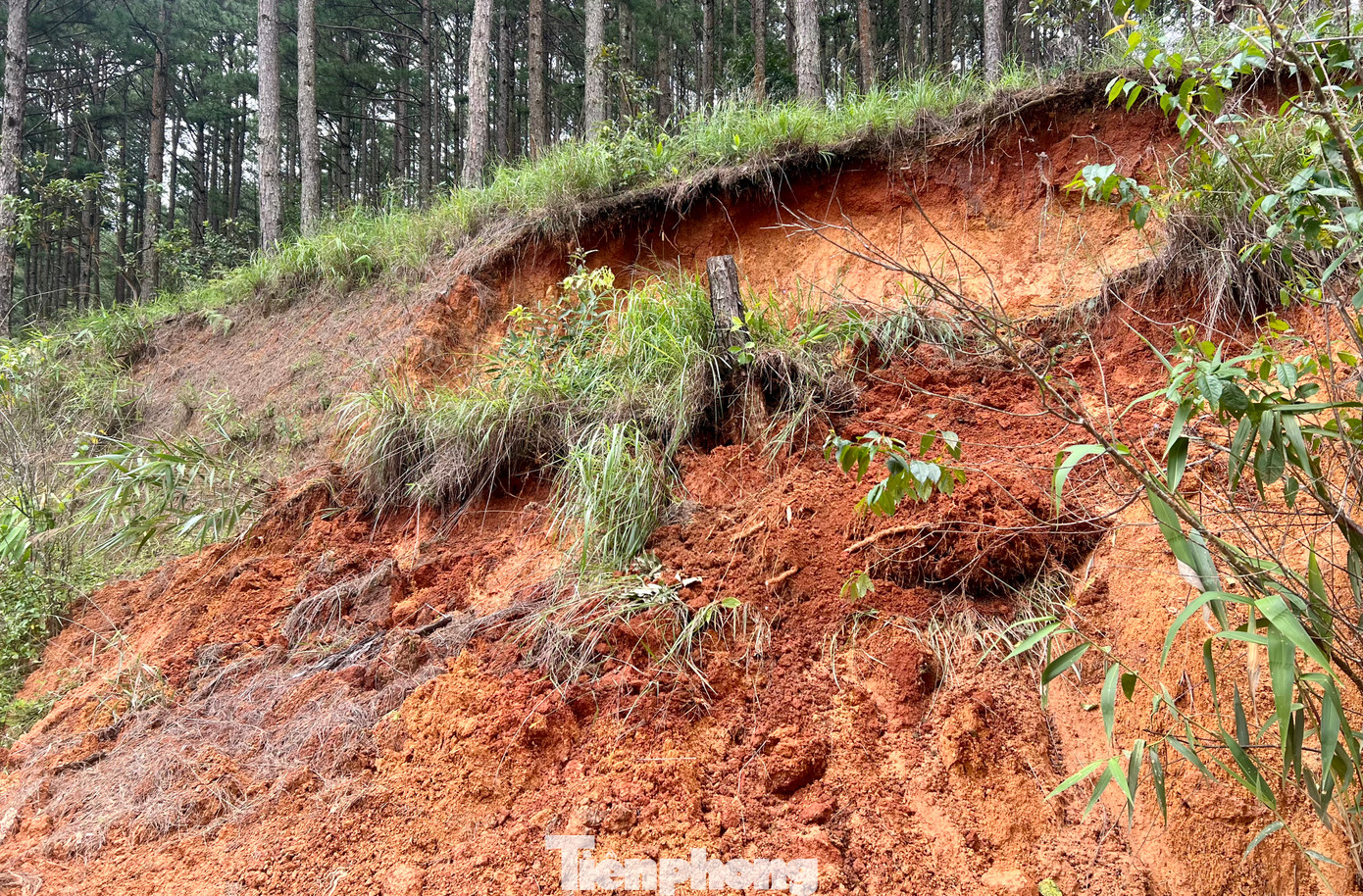 Nhiều du khách lo lắng tình trạng sạt lở dọc tuyến đường này, bởi đây là tuyến đường vào các điểm săn mây đẹp nhất Đà Lạt.