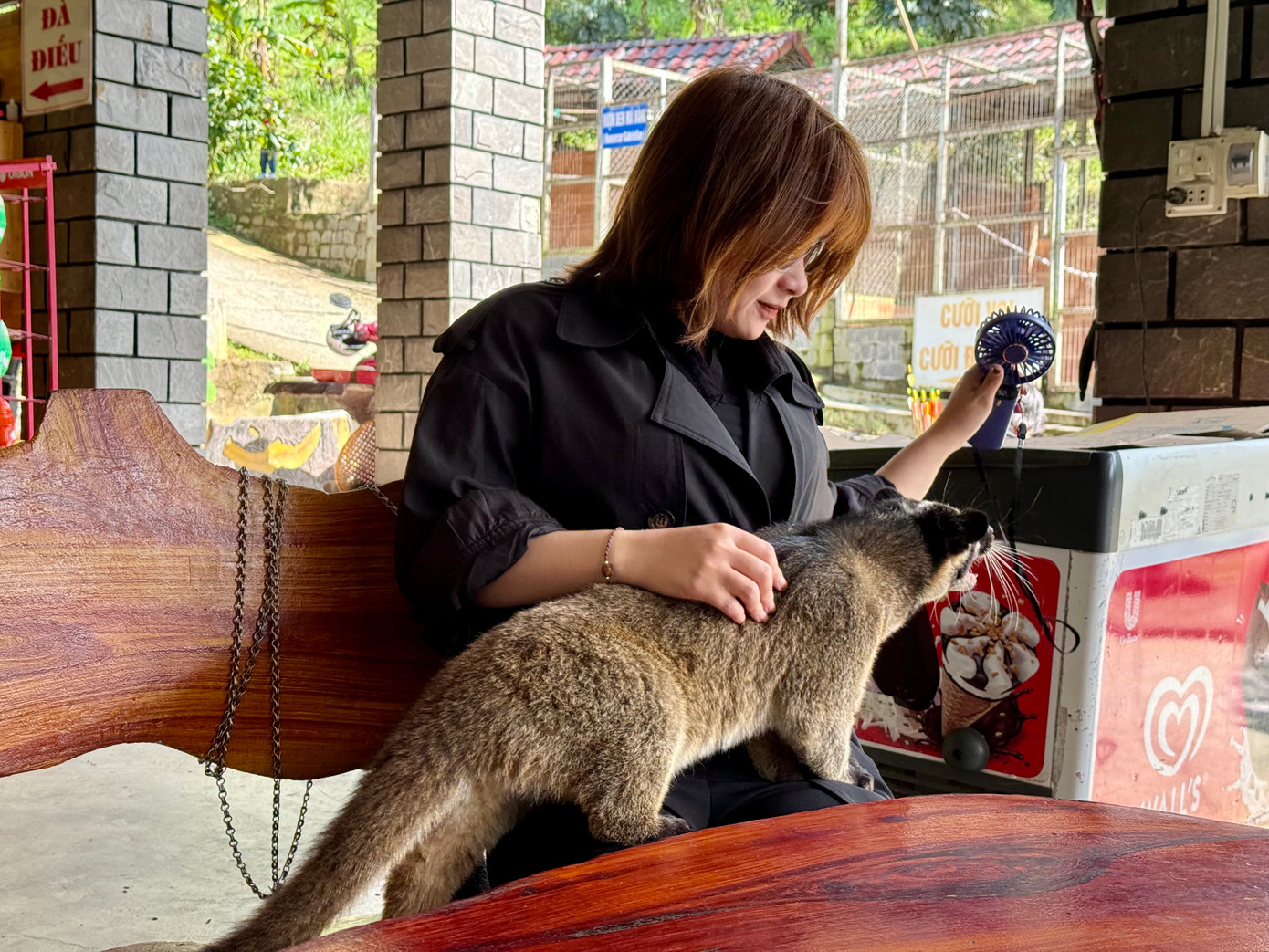 Du khách thích thú chơi cùng đàn thú