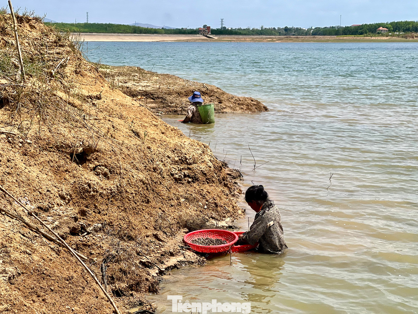 Những ngày giữa tháng 3, tại đập thuỷ điện Đăk Yên, xã Hòa Bình (TP.Kon Tum, Kon Tum) có hàng chục người già, trẻ đội nắng, ngâm mình dưới nước để cào hến.